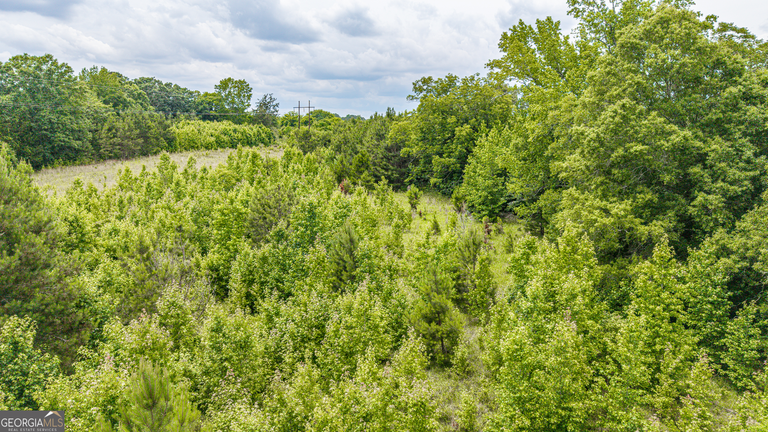 0 Washington Highway Property Photo 22