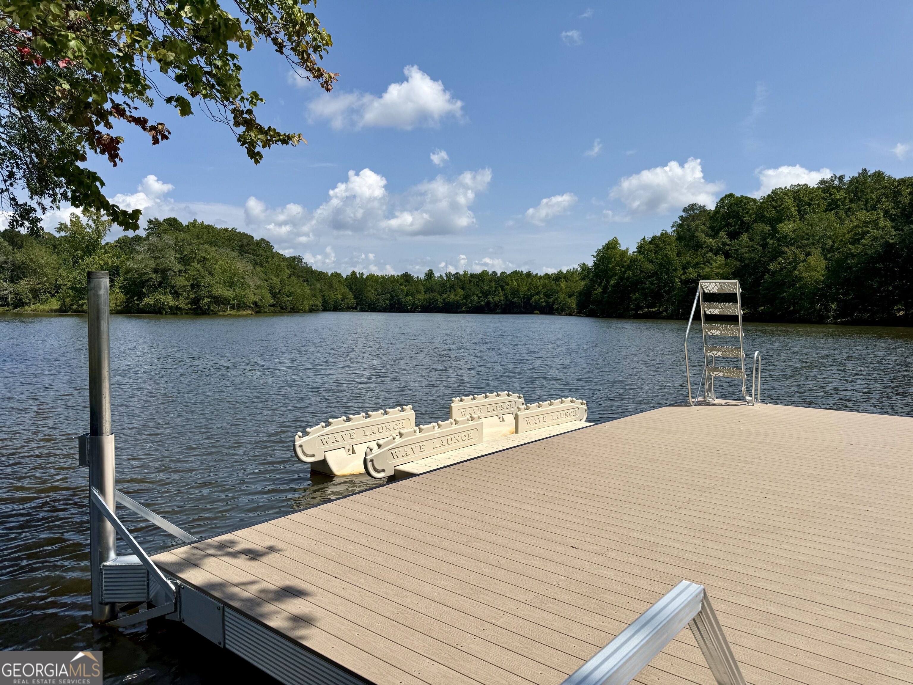 5 Club Cresswind Drive Property Photo 37