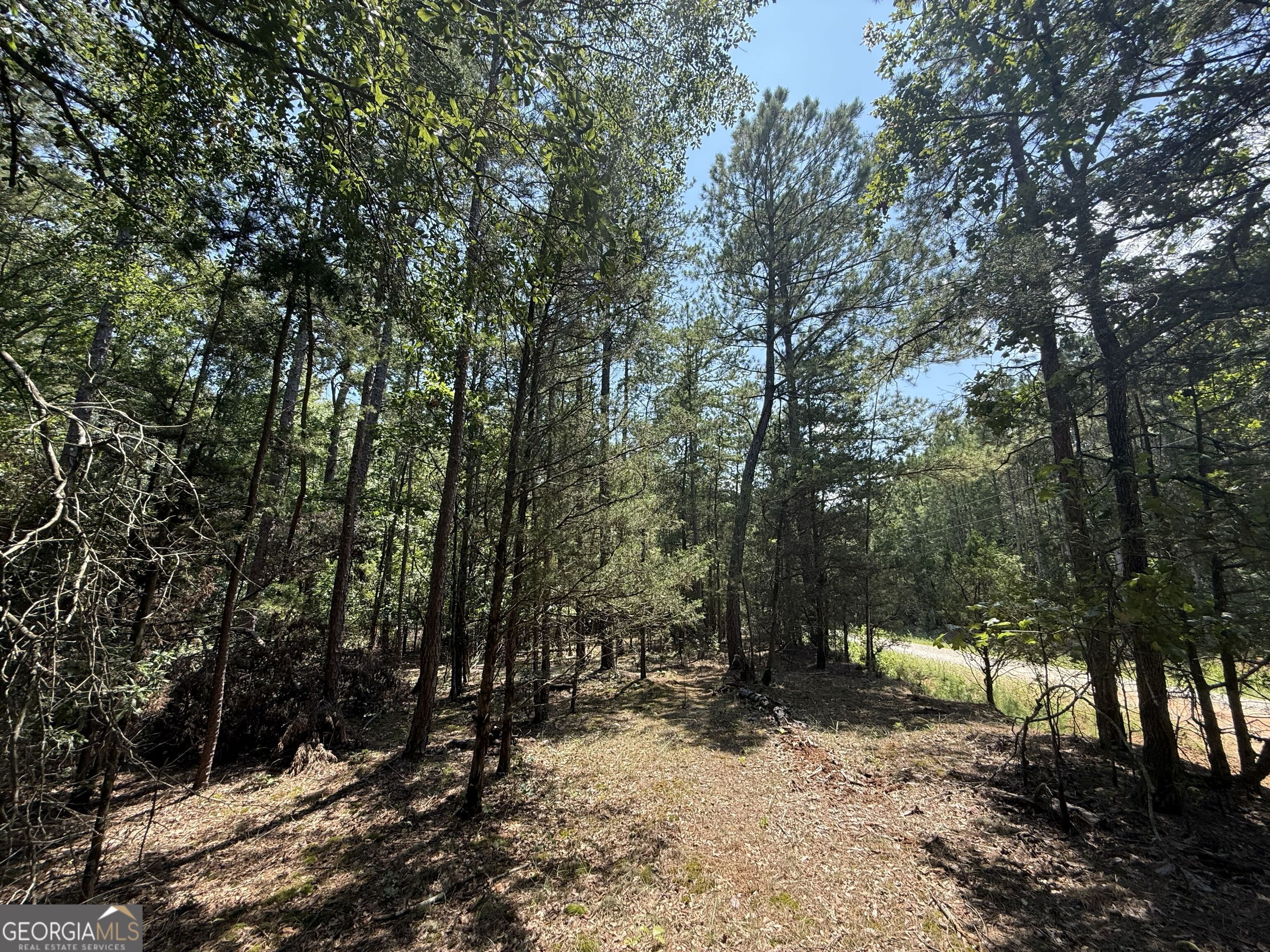 2128 Amberly Road Property Photo 9