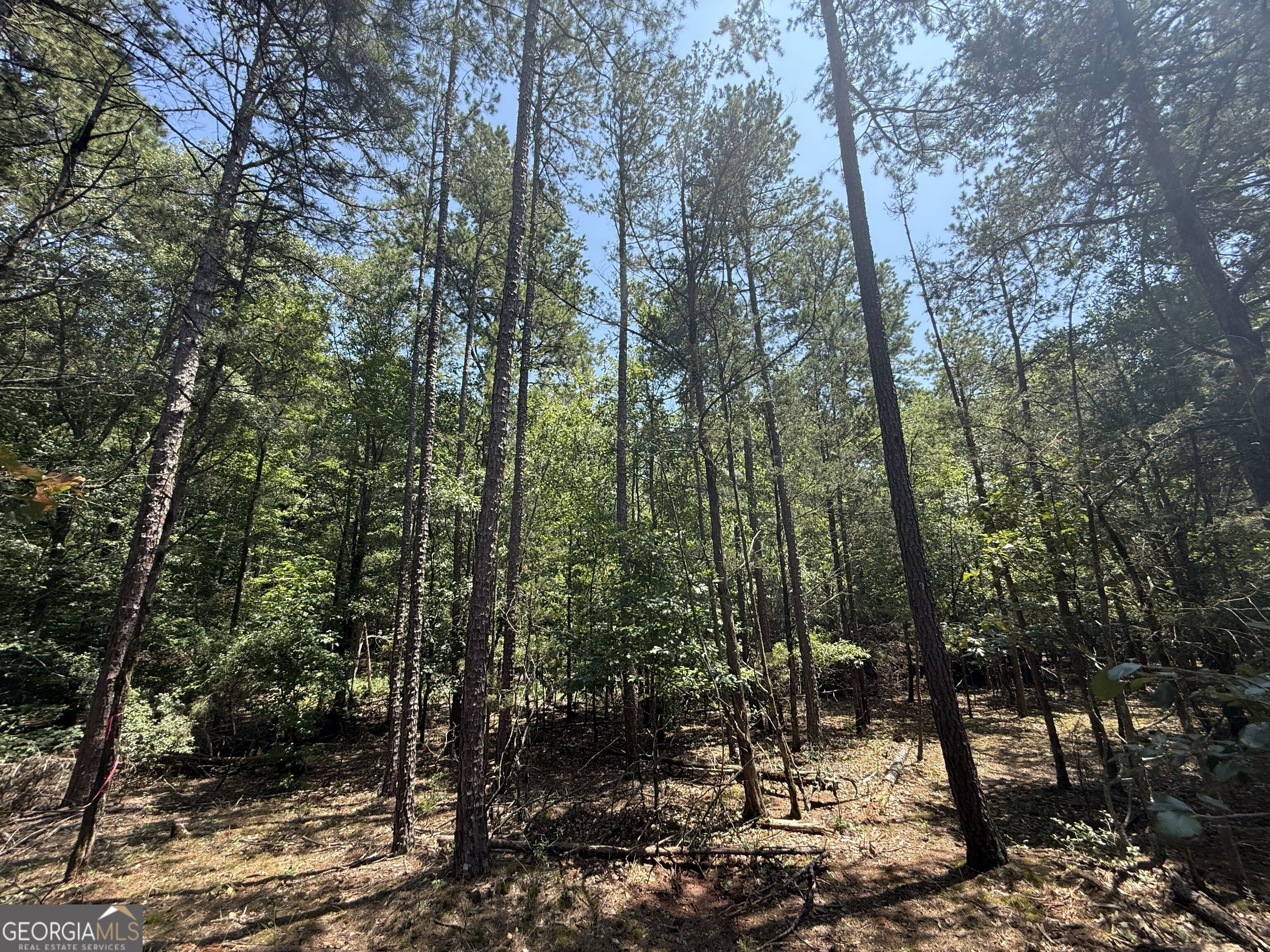 2128 Amberly Road Property Photo 10