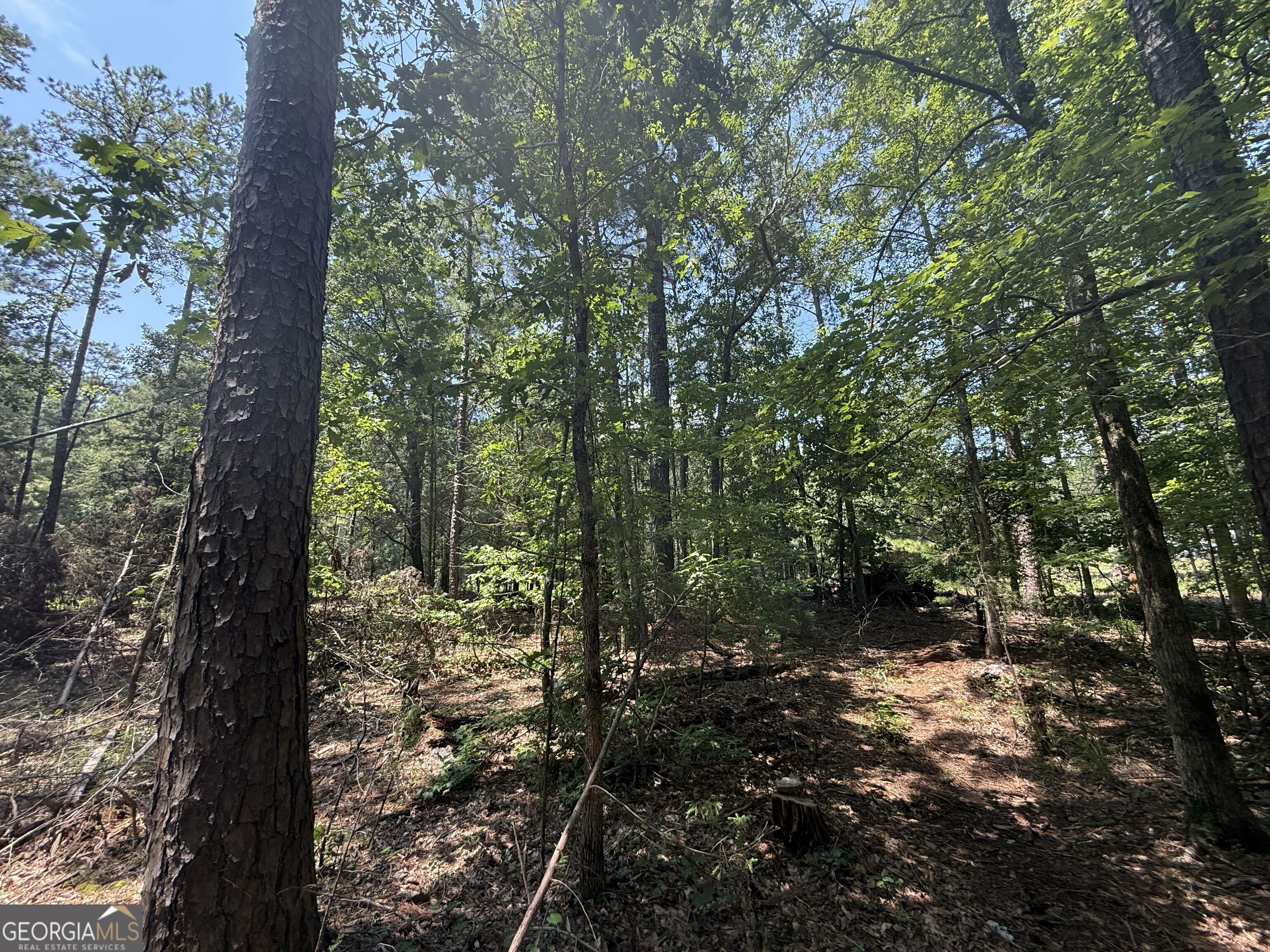 2128 Amberly Road Property Photo 11