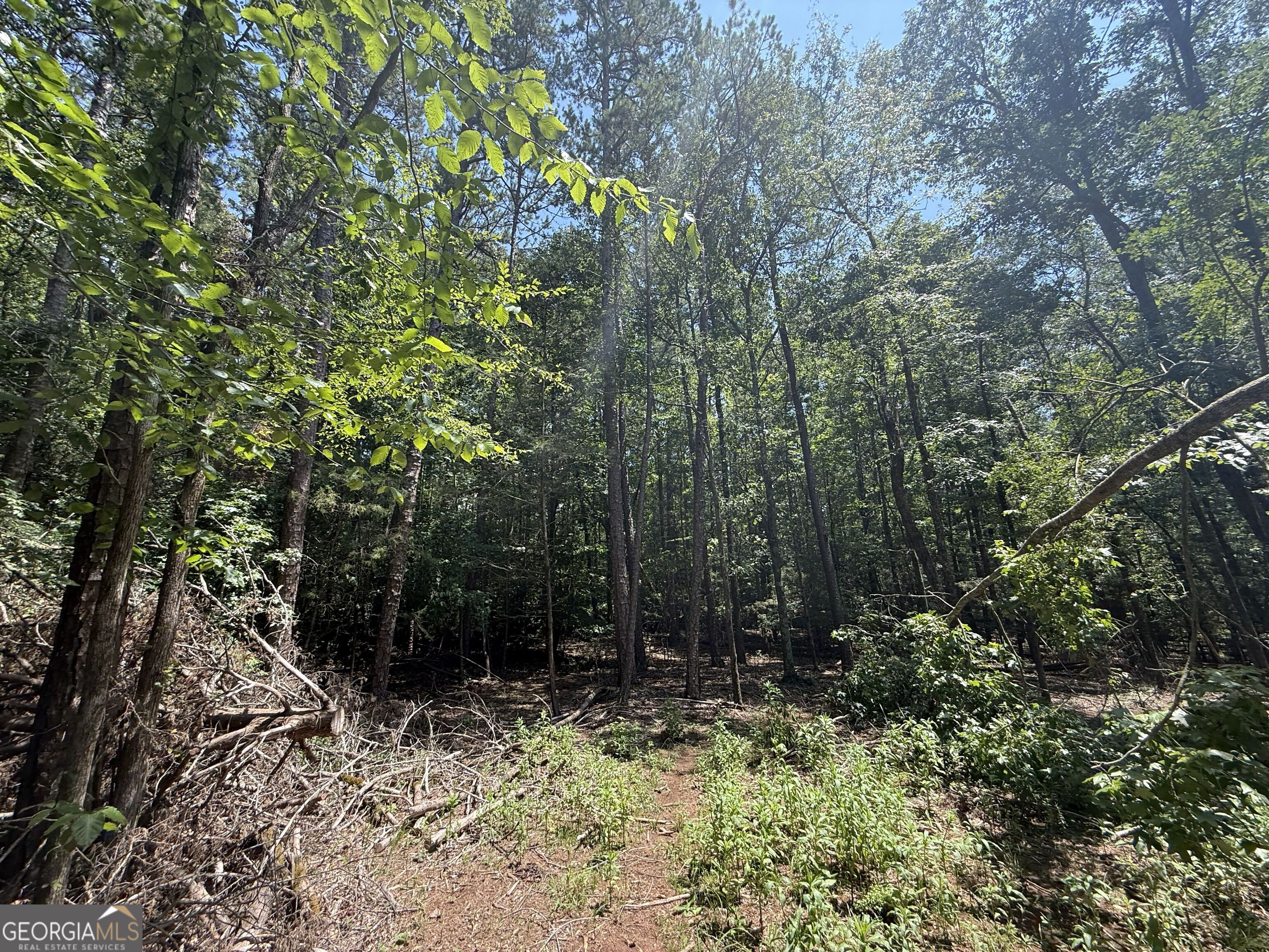 2128 Amberly Road Property Photo 13