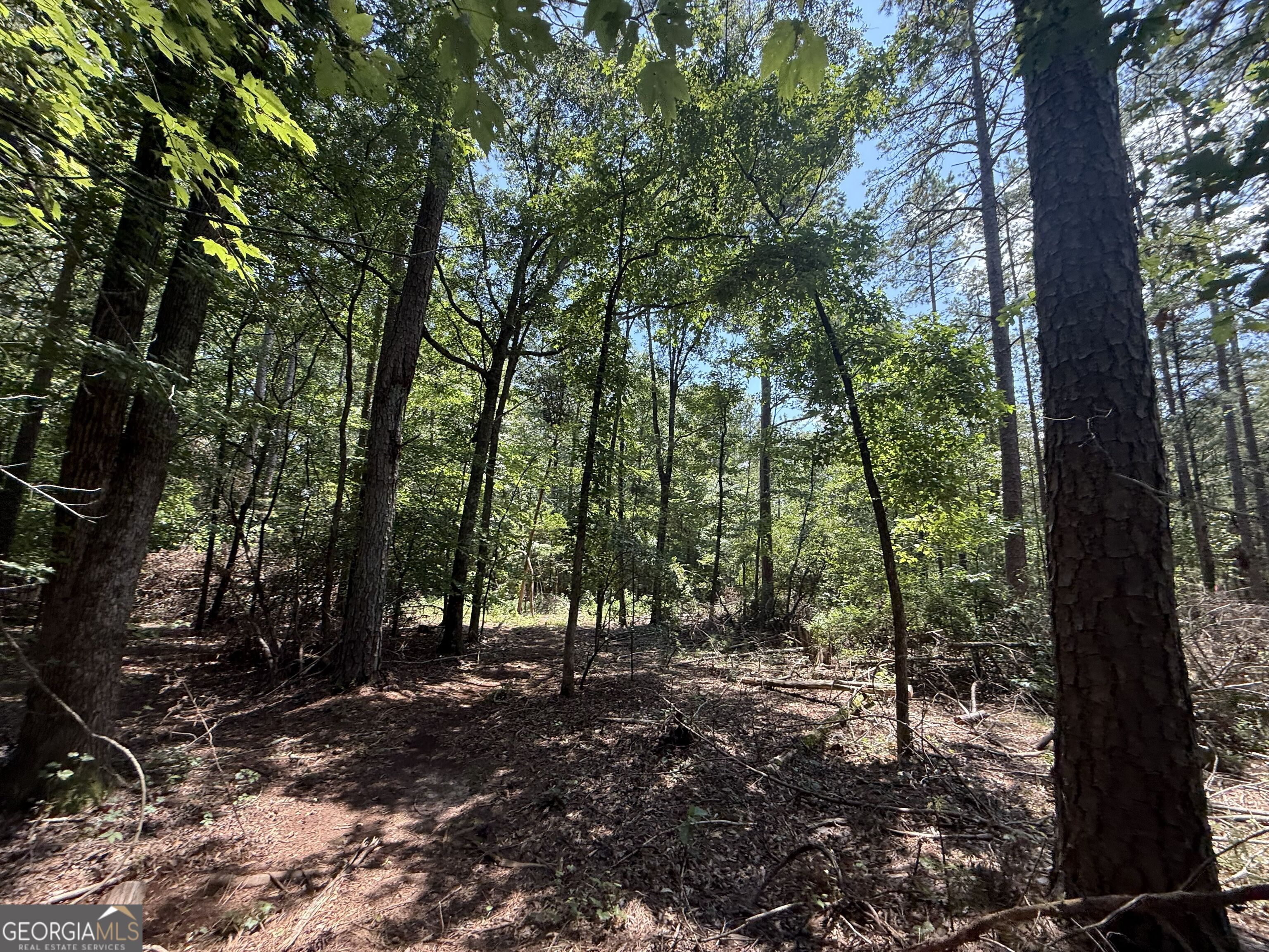 2128 Amberly Road Property Photo 14