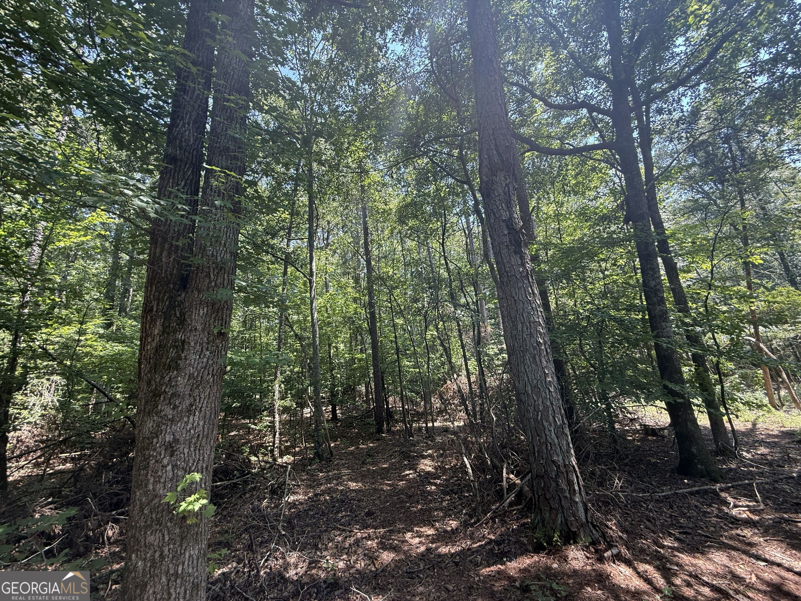 2128 Amberly Road Property Photo 15