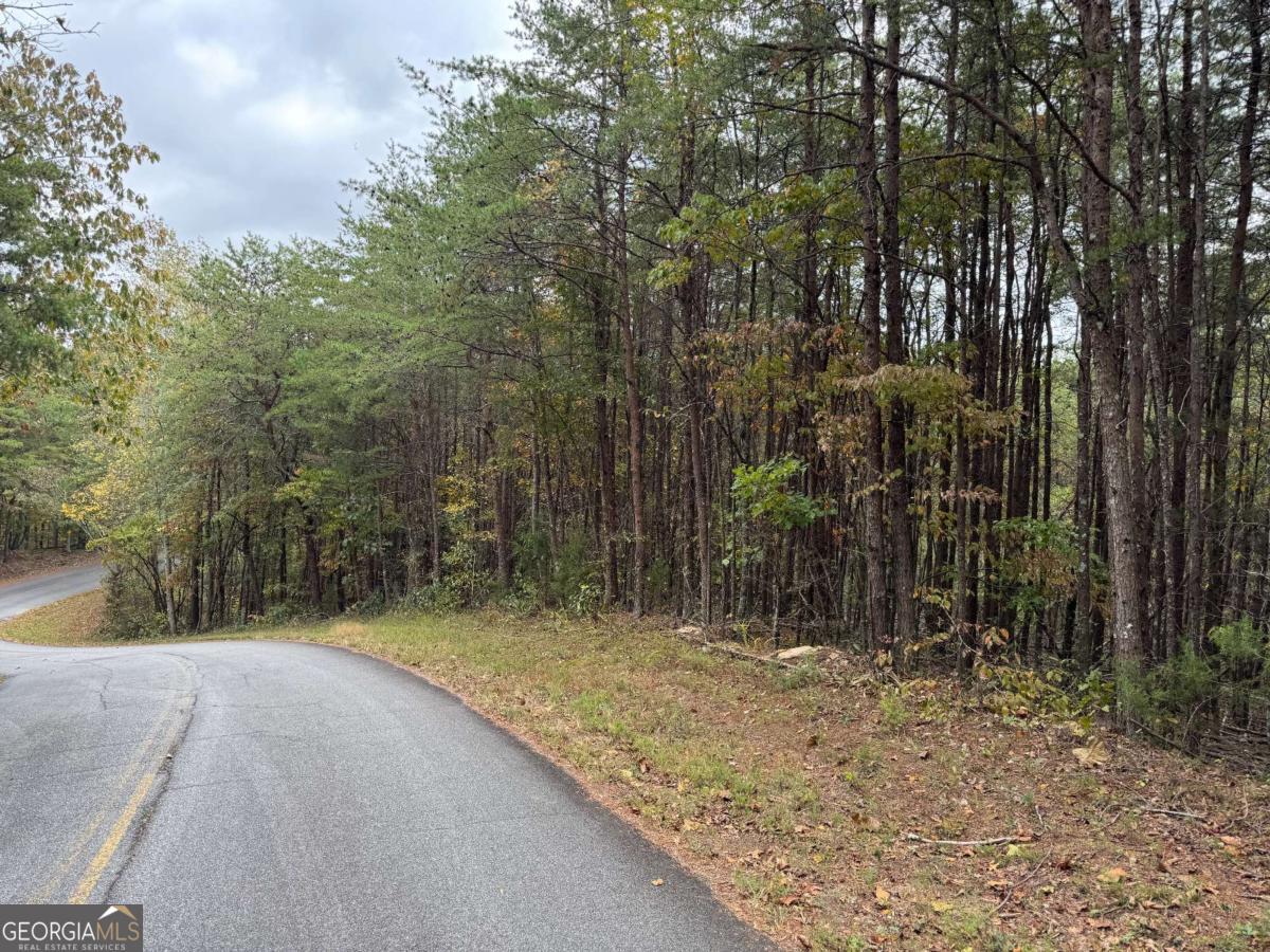 0 Cagle Road Property Photo 1
