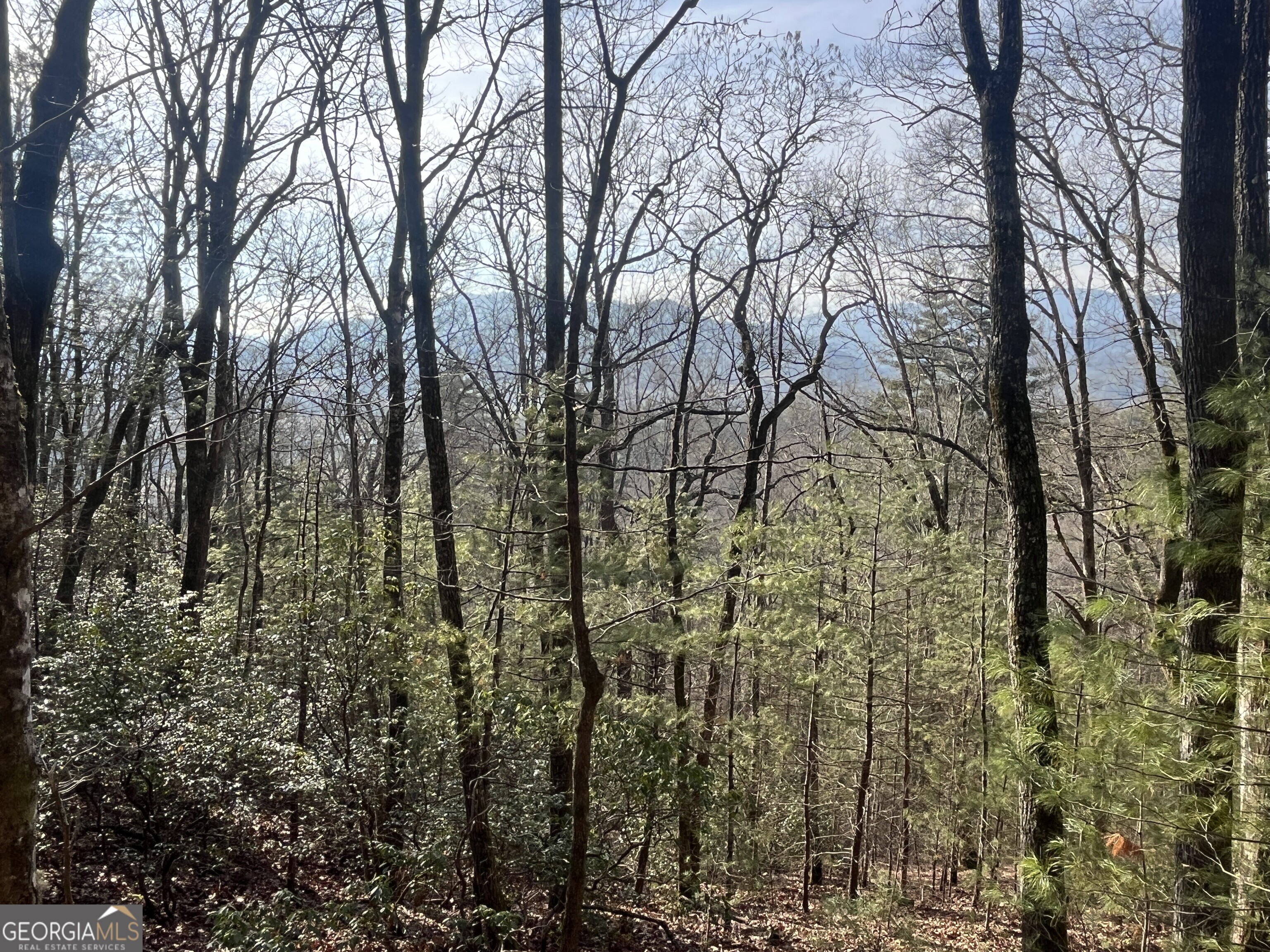 0 Winter Court Property Photo 3