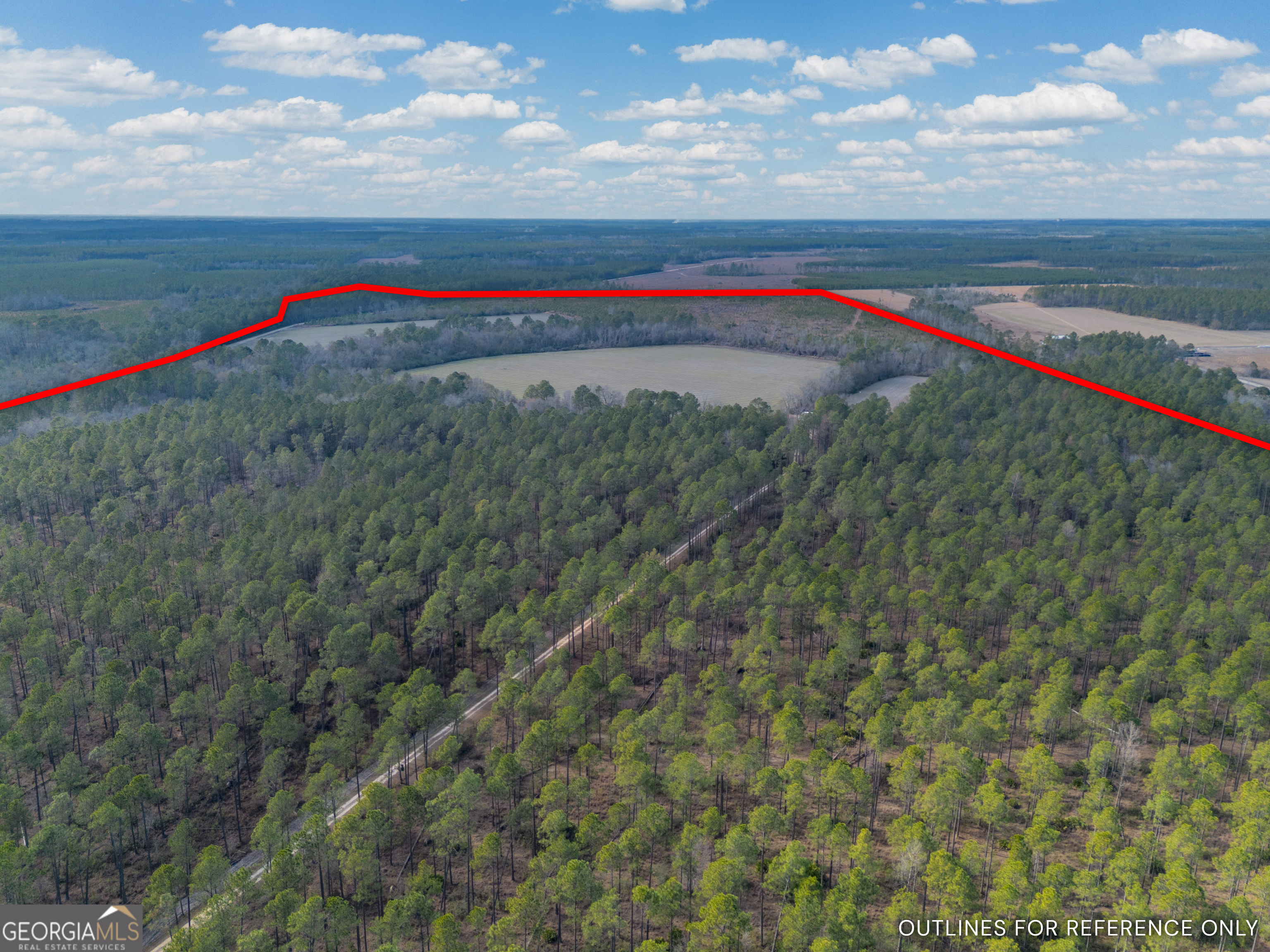 Tract 3 Reddish Road Property Photo 4