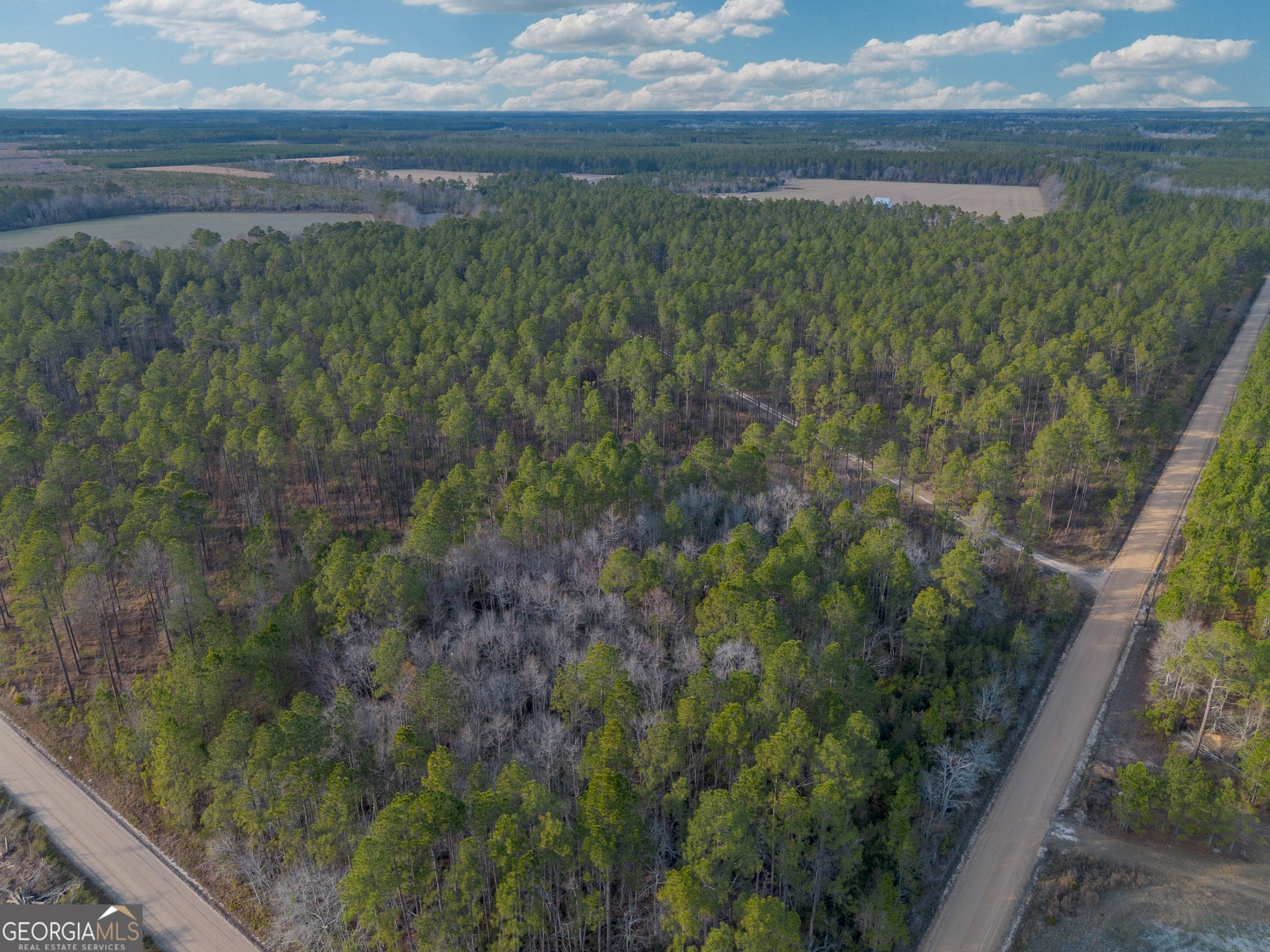 Tract 3 Reddish Road Property Photo 5