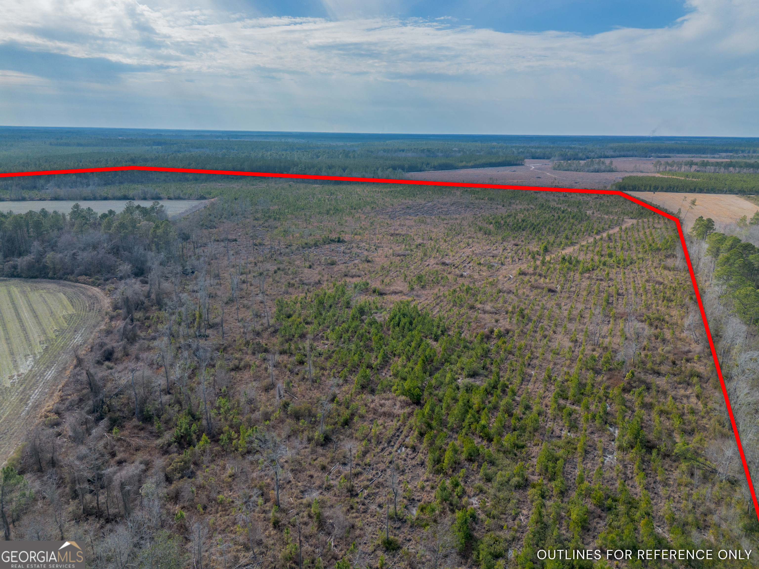 Tract 3 Reddish Road Property Photo 10