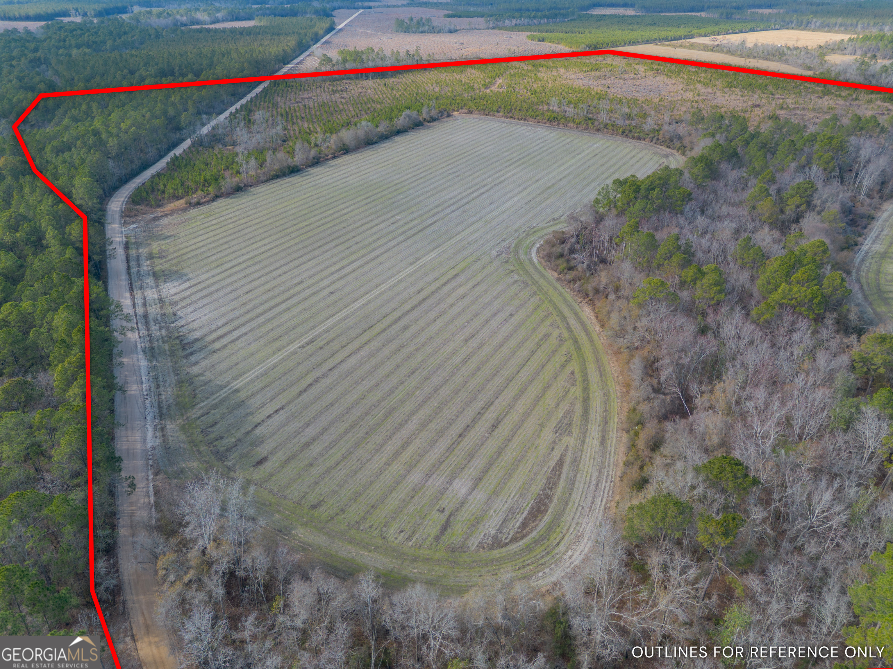 Tract 3 Reddish Road Property Photo 11
