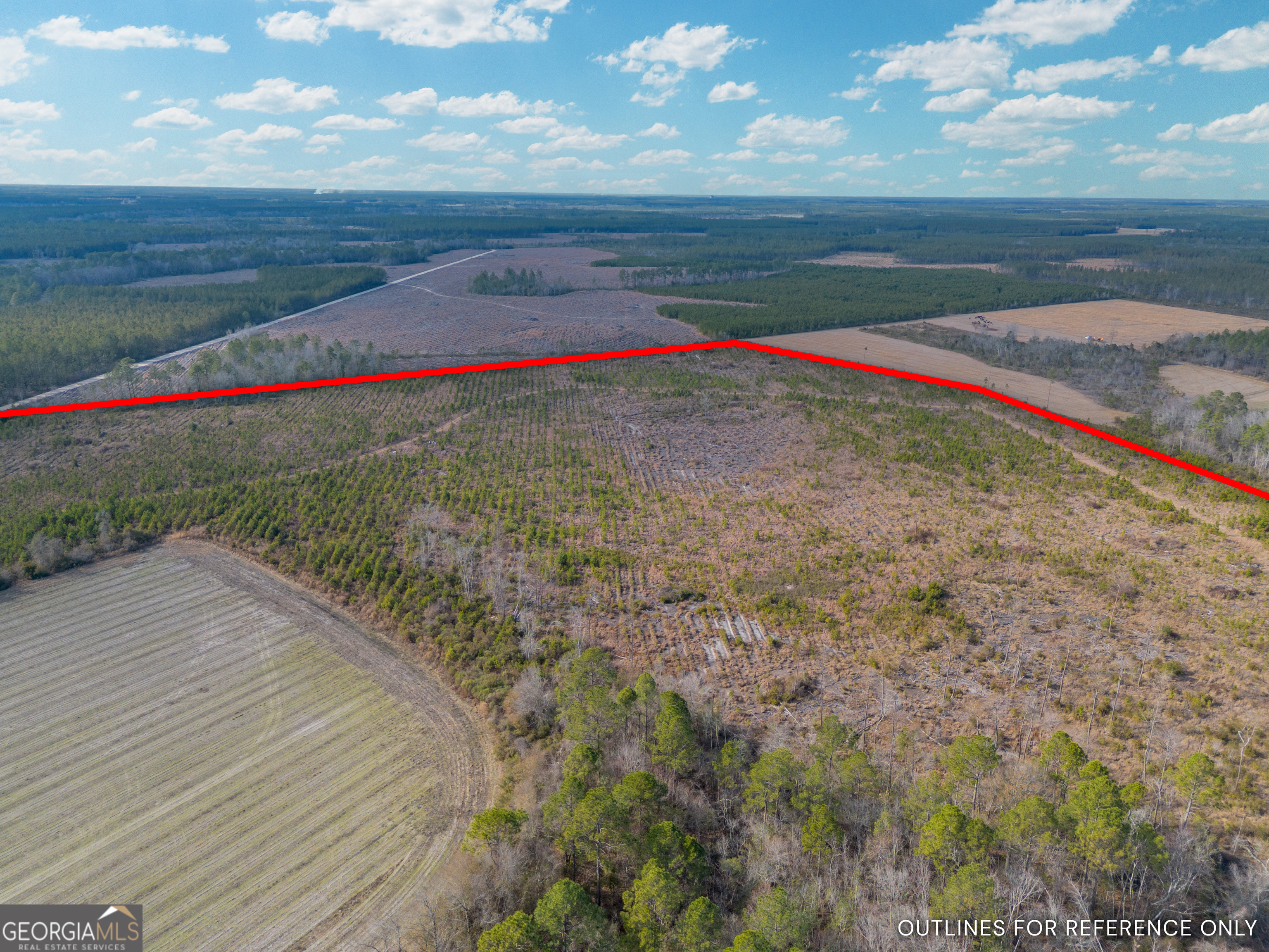 Tract 3 Reddish Road Property Photo 12