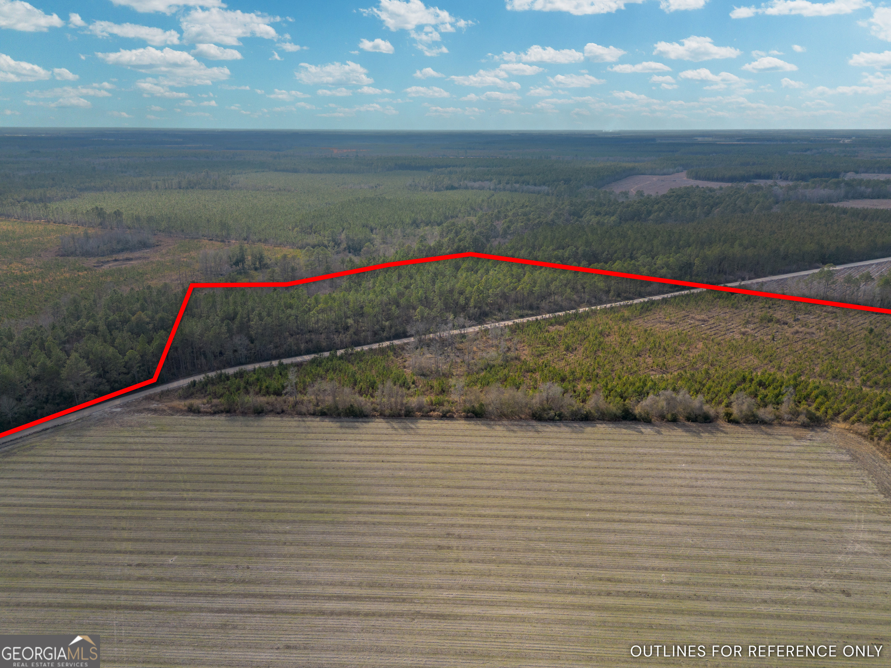Tract 3 Reddish Road Property Photo 13