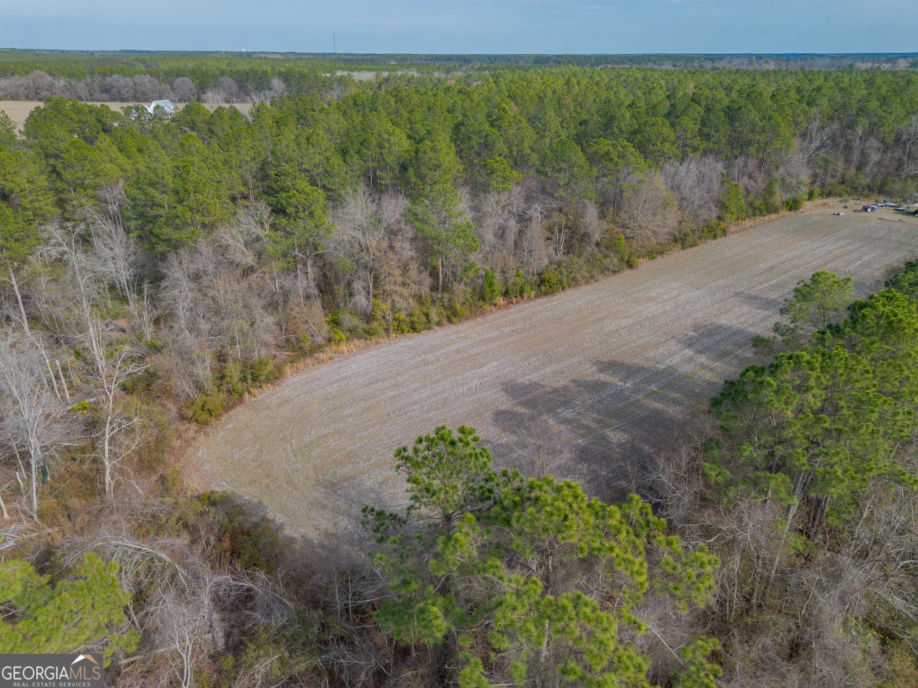 Tract 3 Reddish Road Property Photo 17