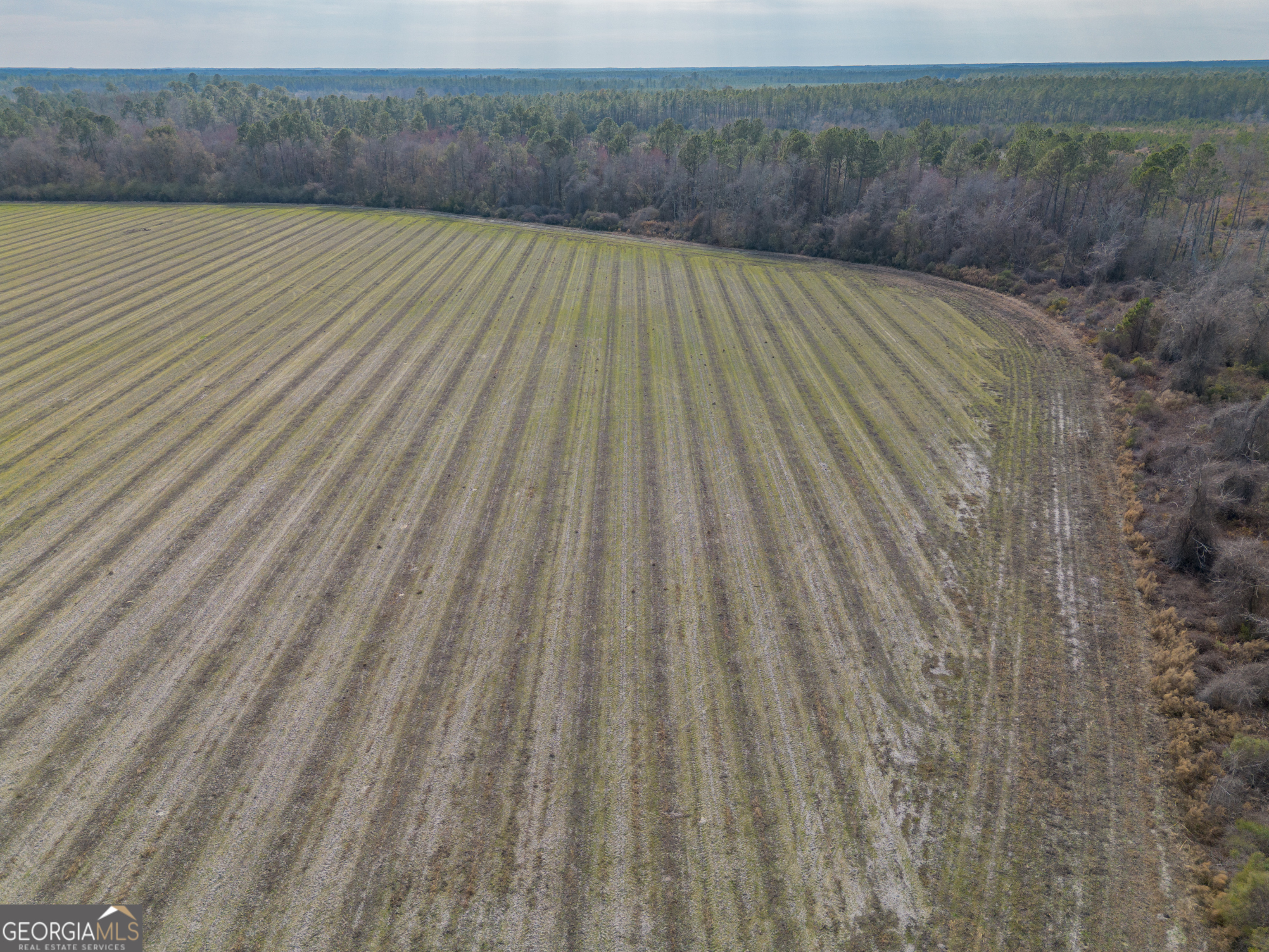 Tract 3 Reddish Road Property Photo 18
