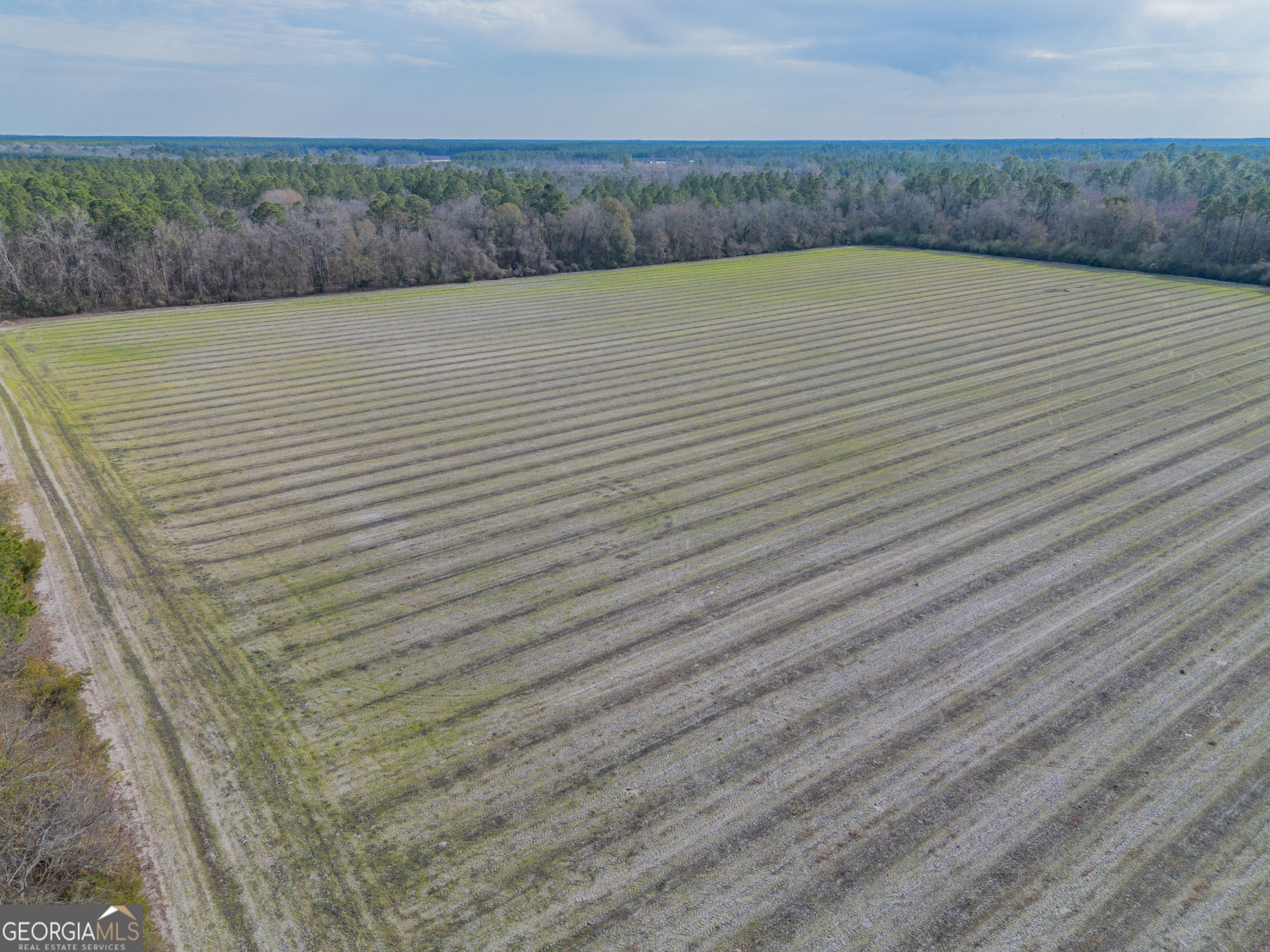 Tract 3 Reddish Road Property Photo 19