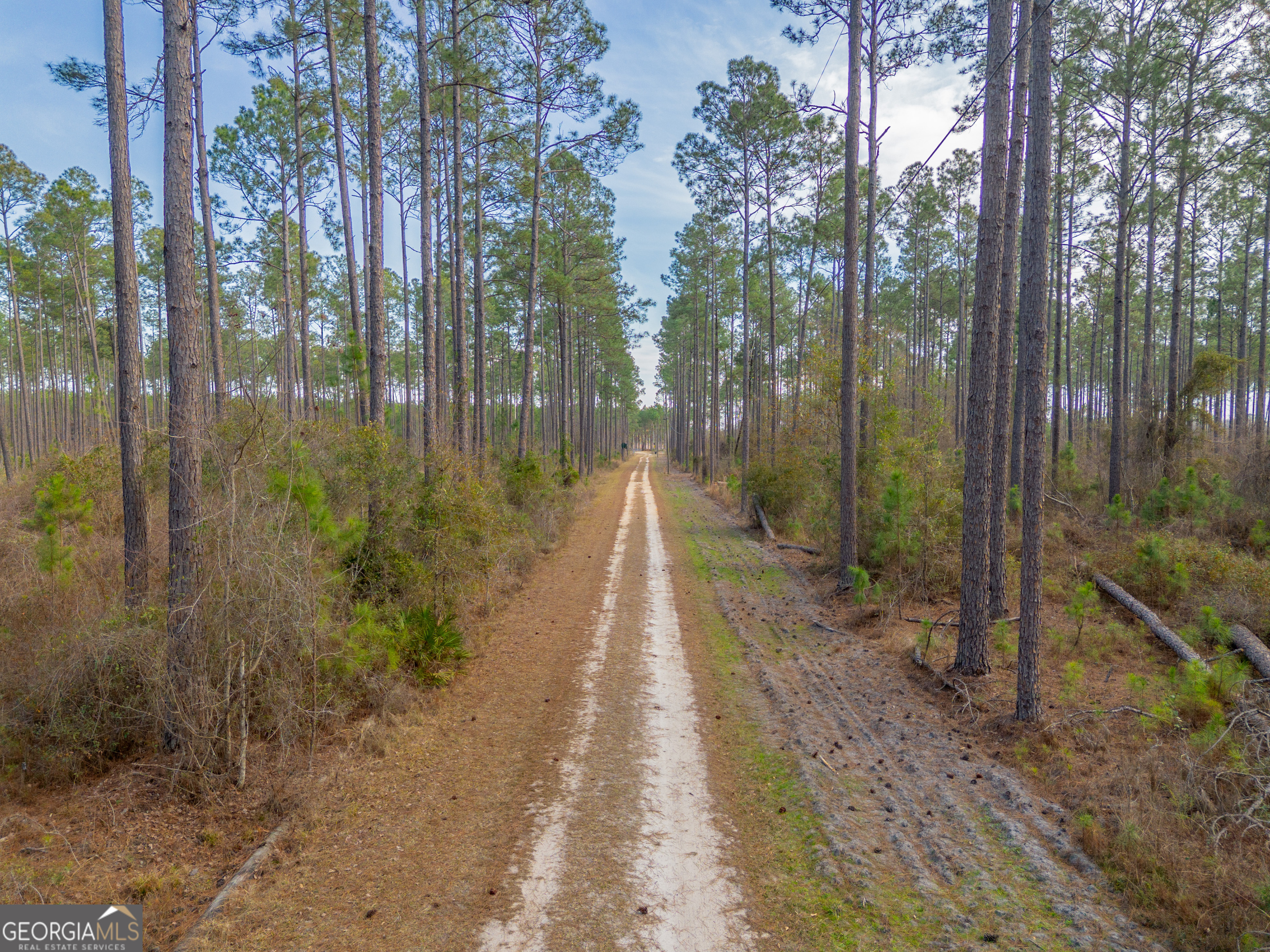 Tract 3 Reddish Road Property Photo 22