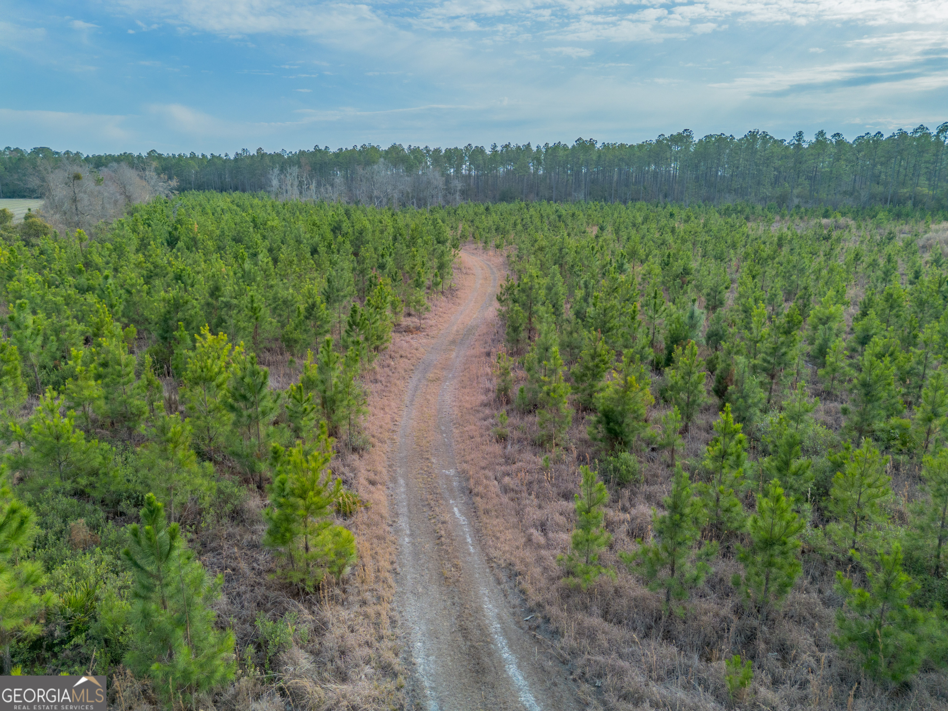 Tract 3 Reddish Road Property Photo 23