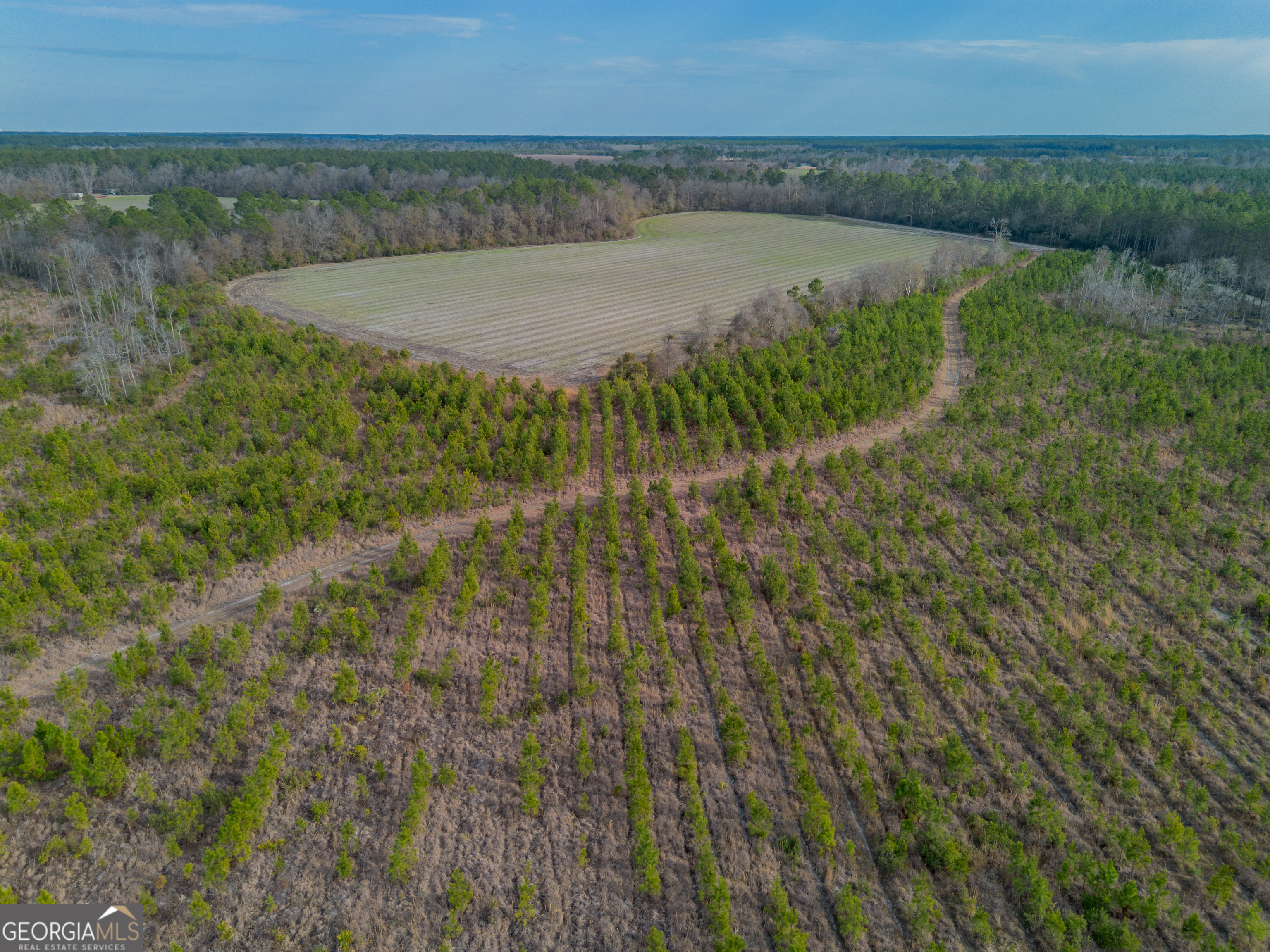 Tract 3 Reddish Road Property Photo 25