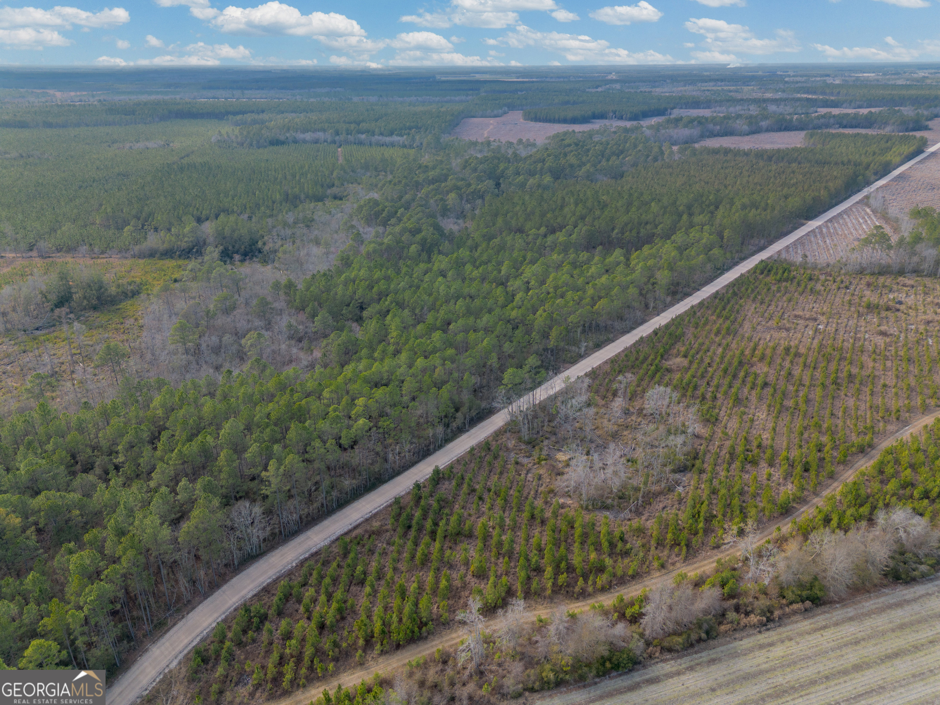 Tract 3 Reddish Road Property Photo 28