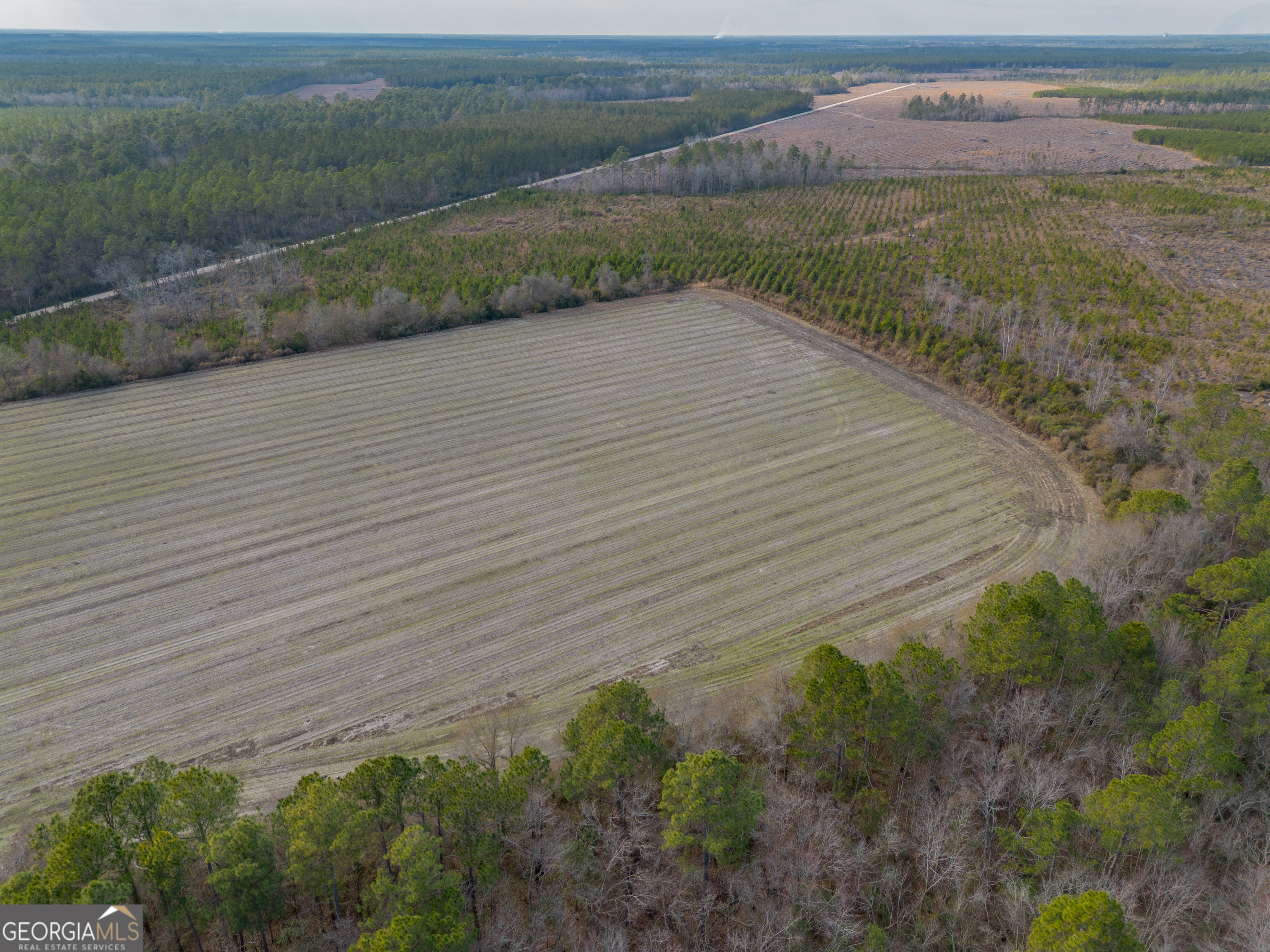 Tract 3 Reddish Road Property Photo 31
