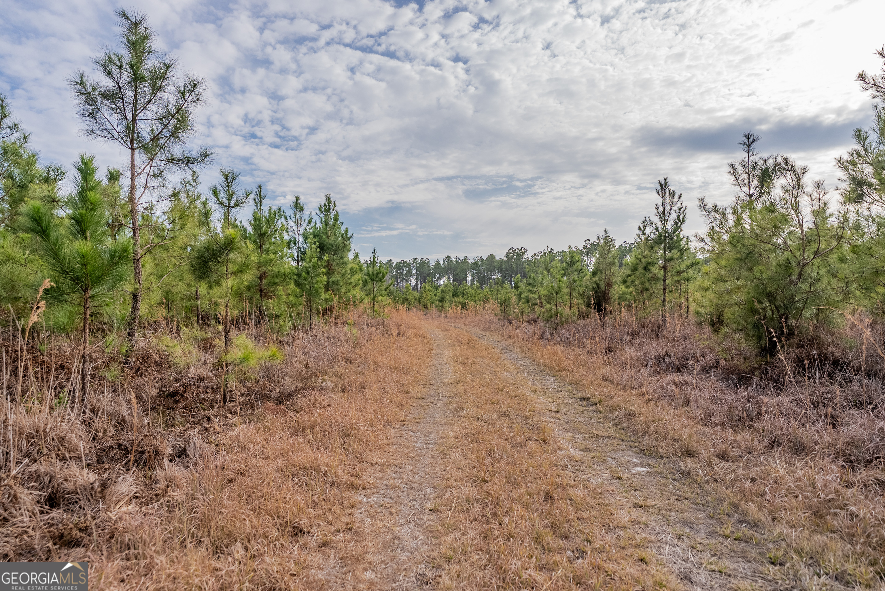 Tract 3 Reddish Road Property Photo 35