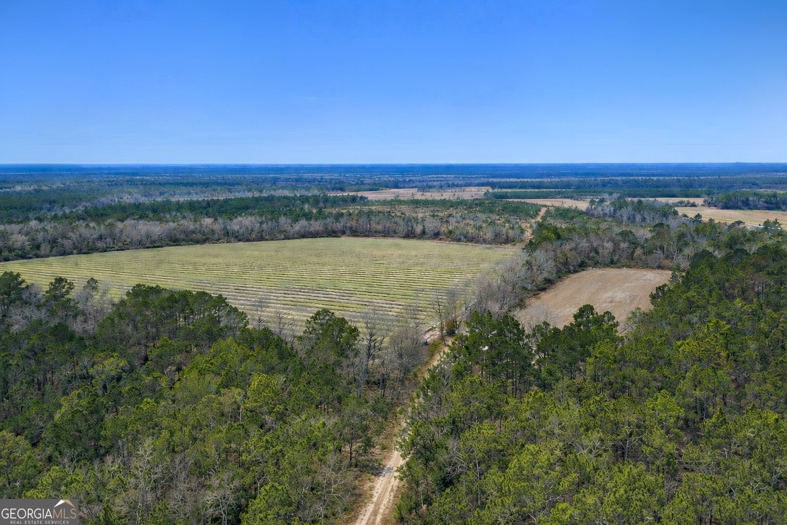 Tract 3 Reddish Road Property Photo 39