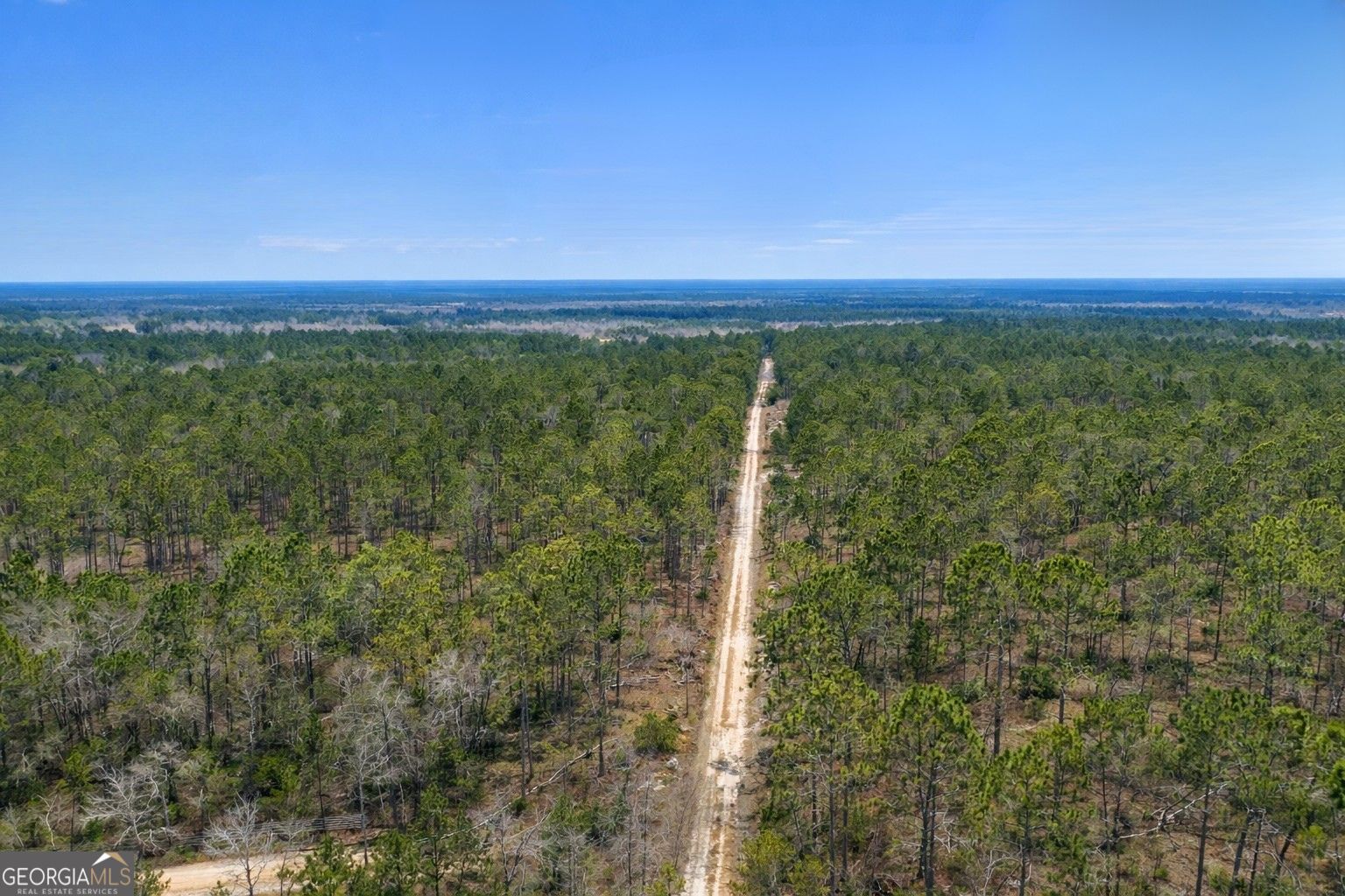 Tract 3 Reddish Road Property Photo 45
