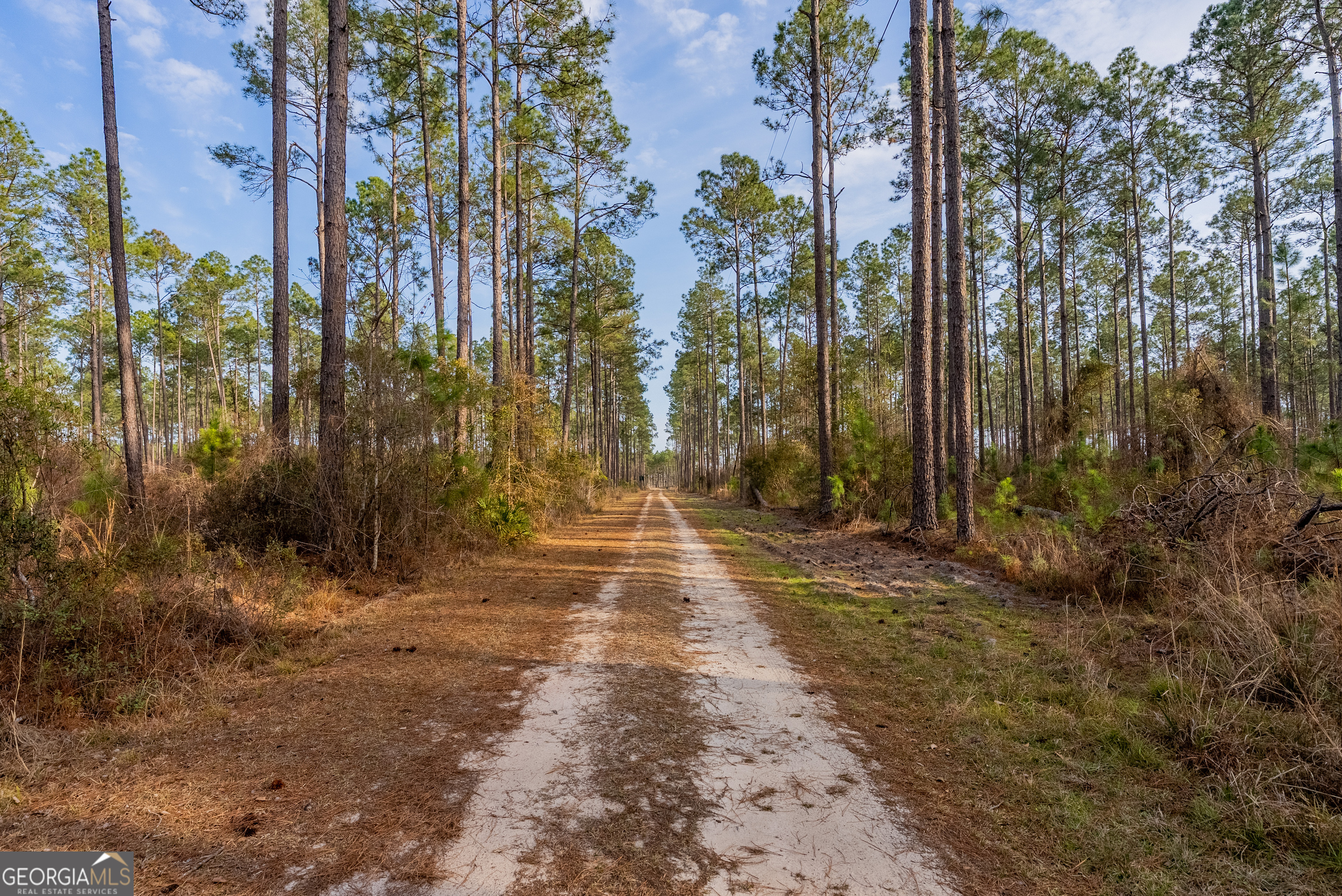 Tract 3 Reddish Road Property Photo 48