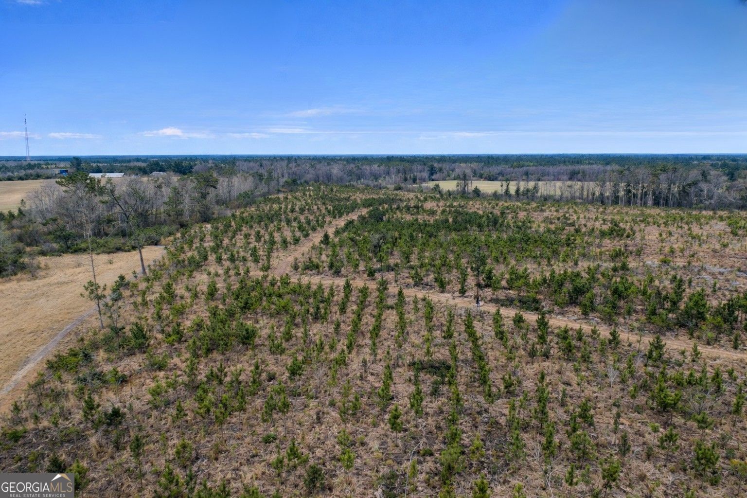 Tract 3 Reddish Road Property Photo 51