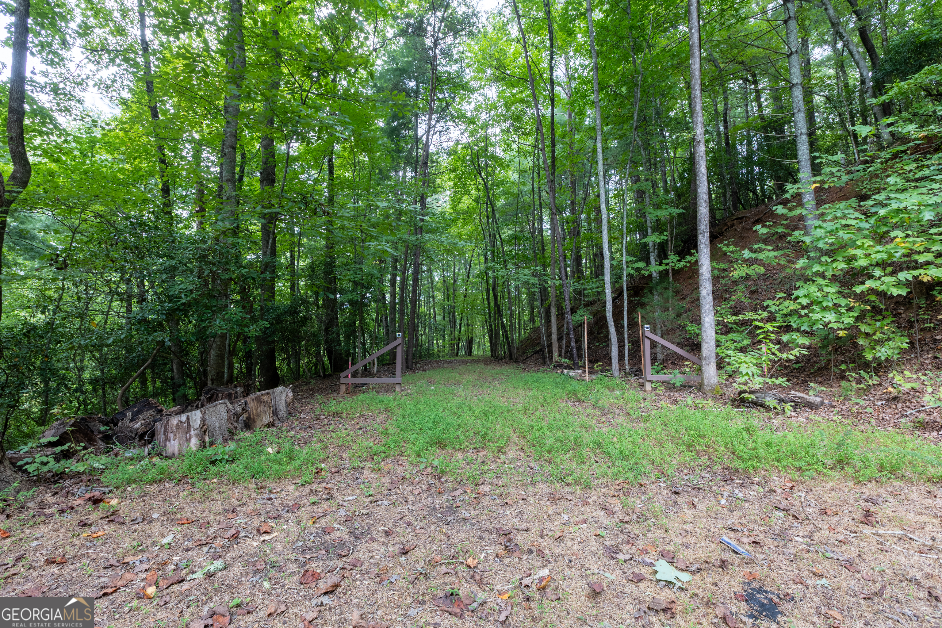 258 Ber Weg Property Photo 29