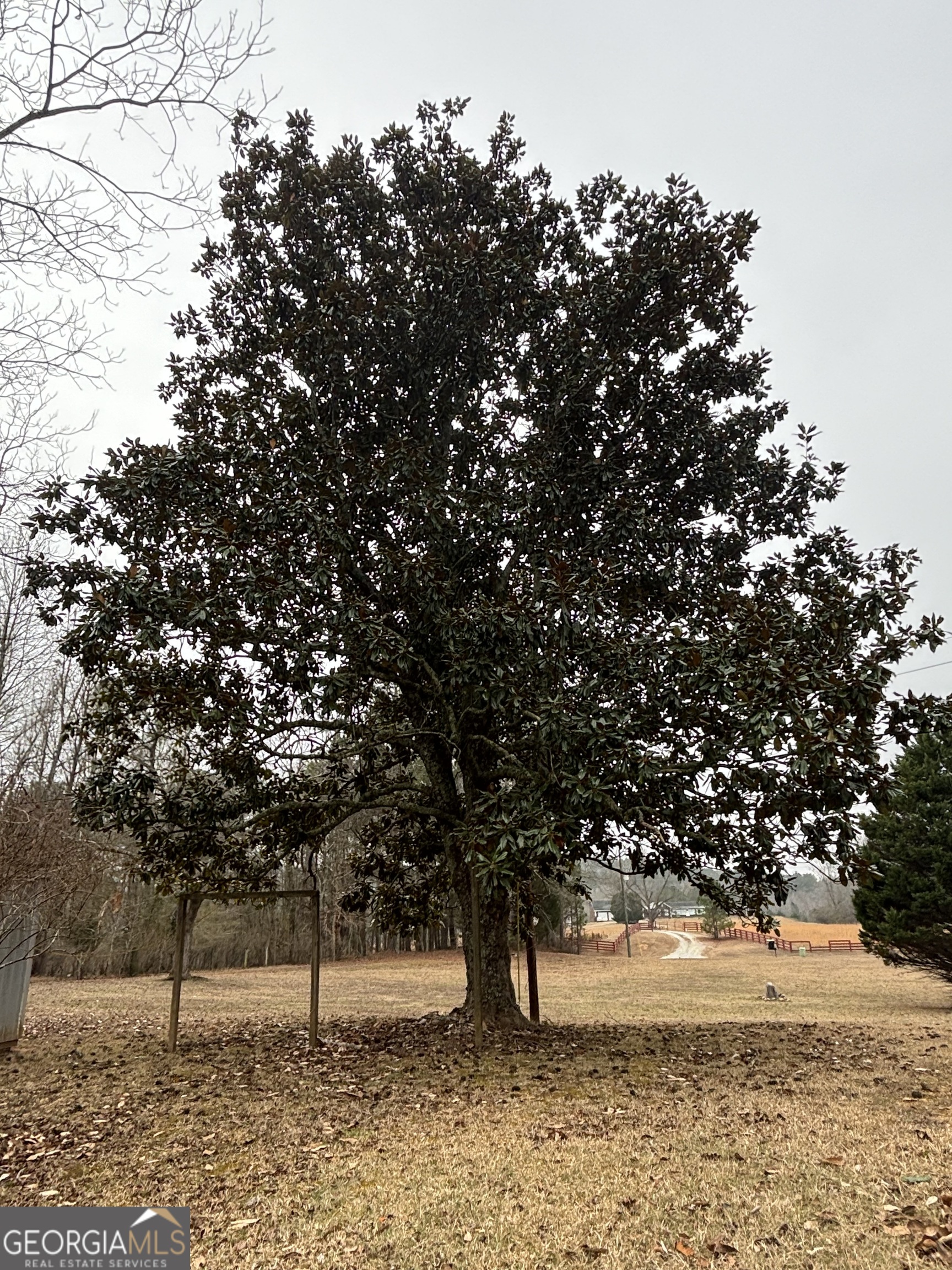 10225 Rivertown Road Property Photo 33