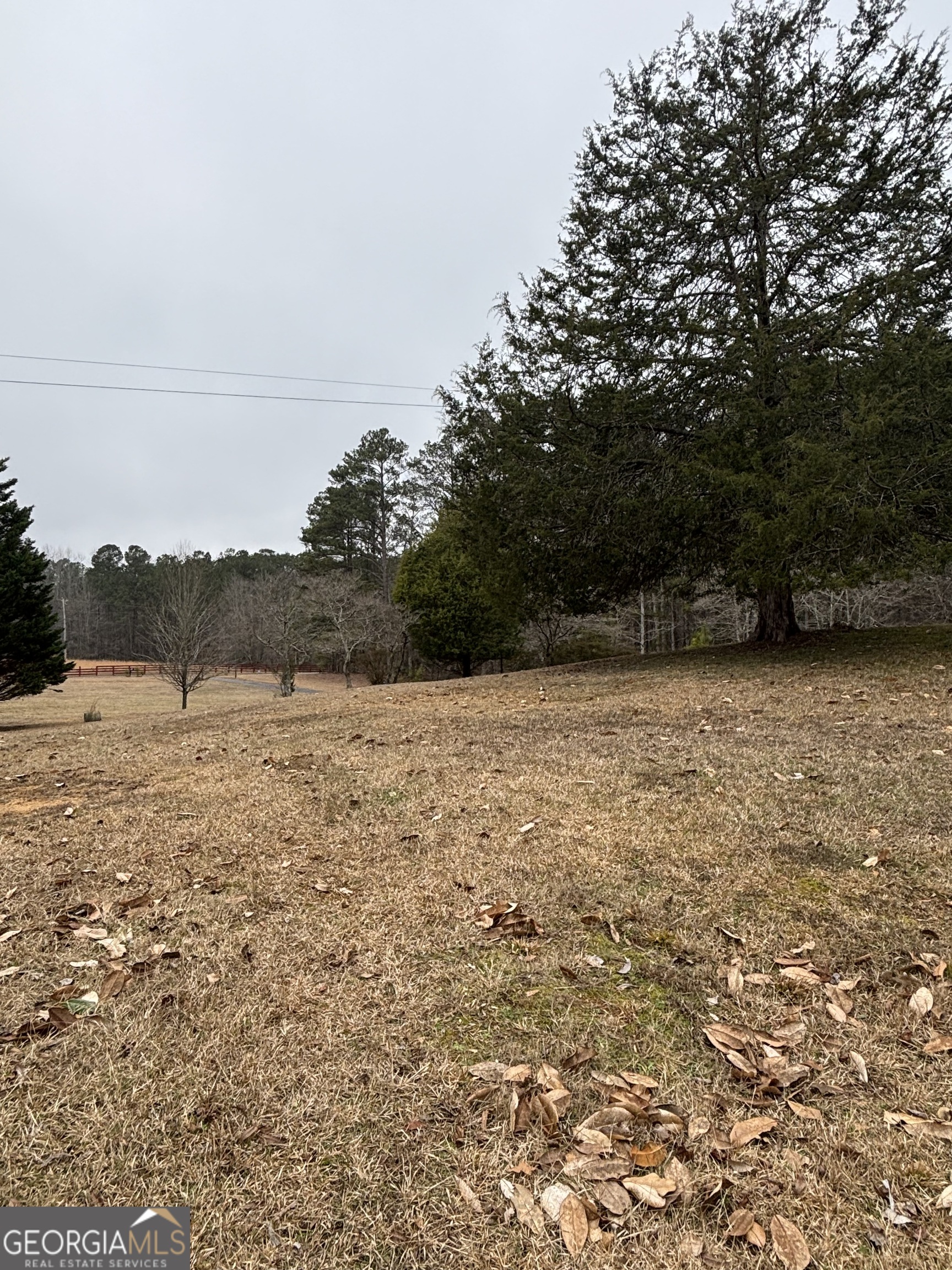 10225 Rivertown Road Property Photo 34