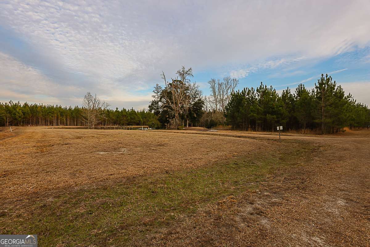307 Chester Thomas Road Property Photo 52