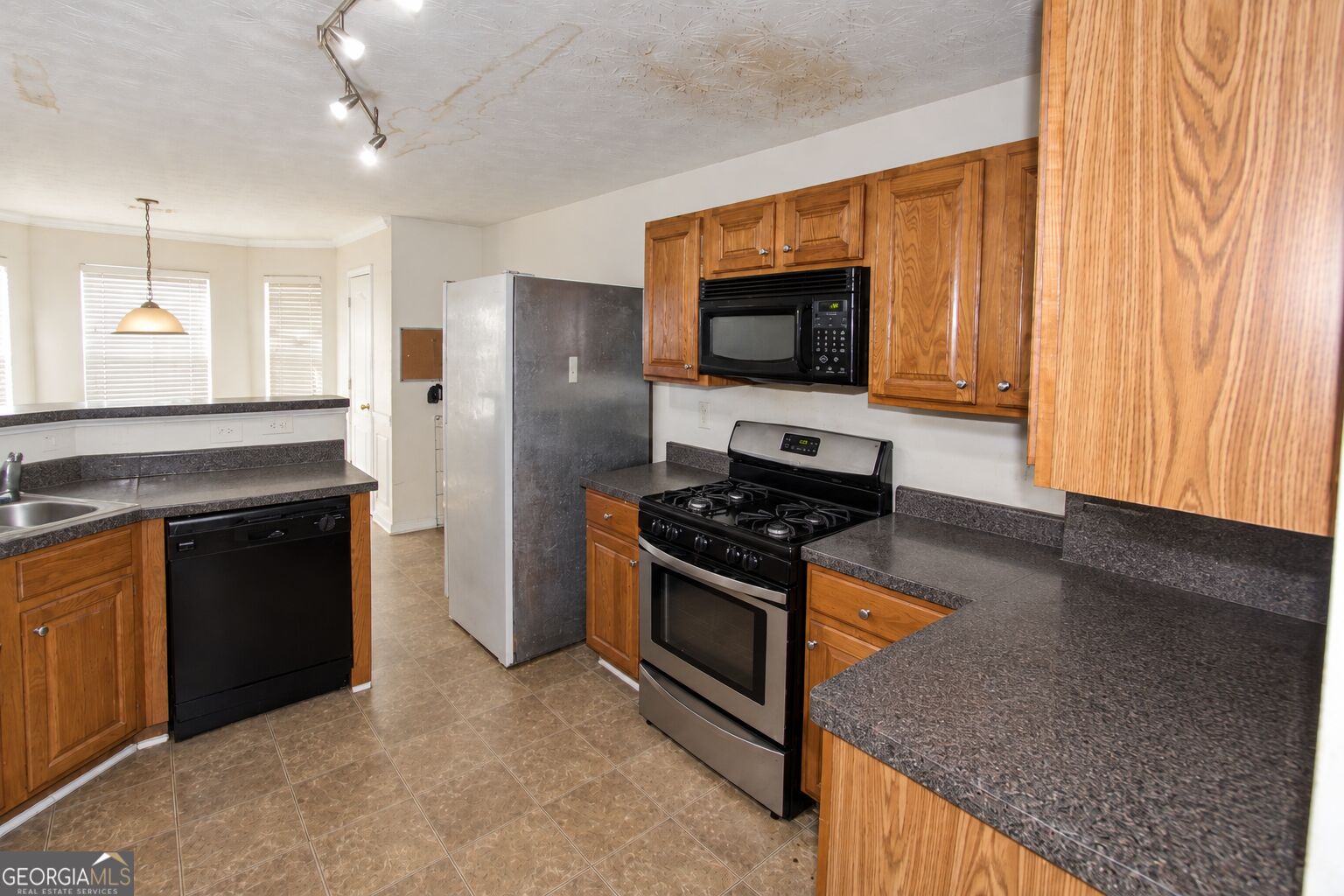 1581 Gallup Drive Property Photo 21