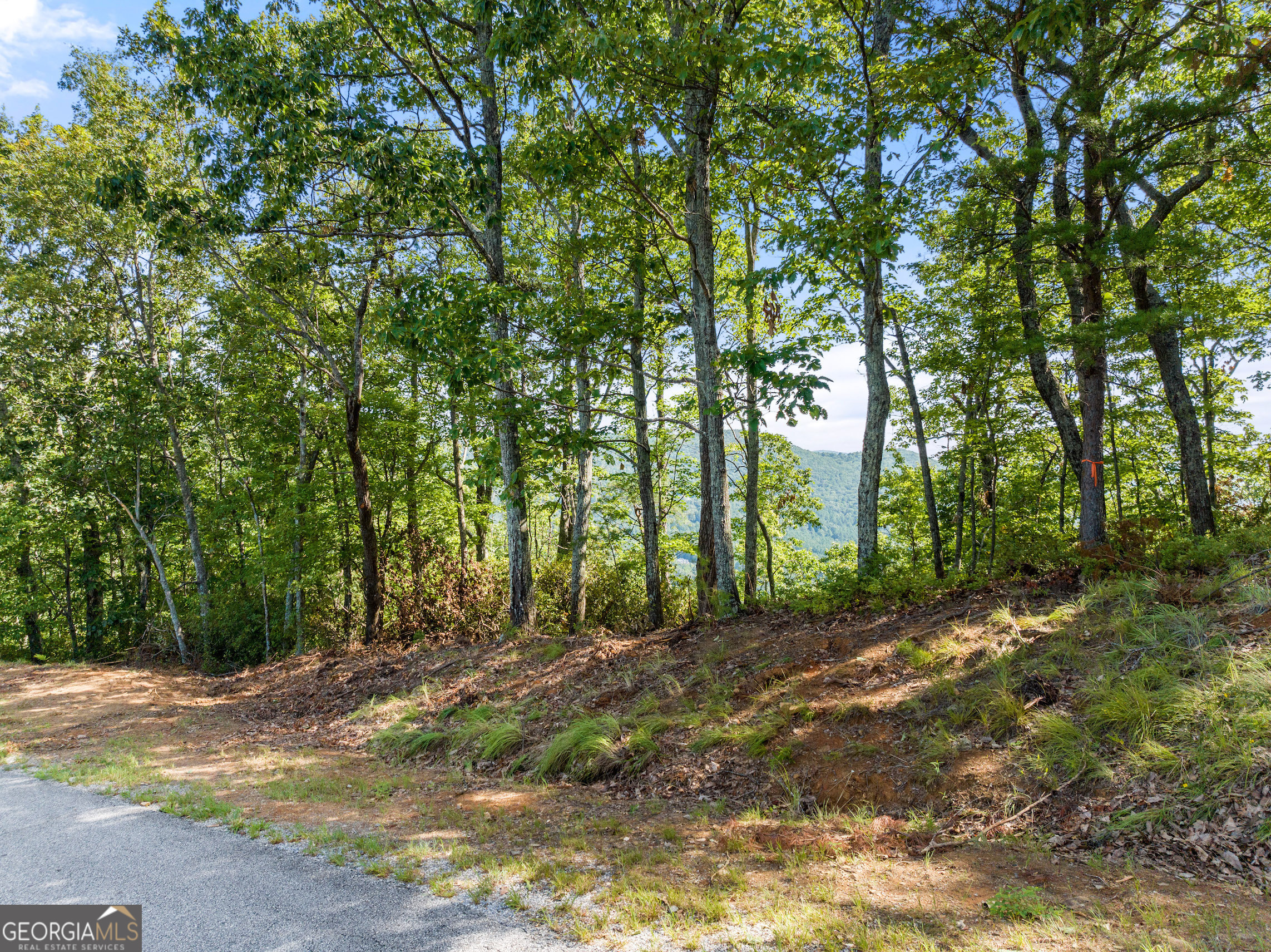 347 Highlands Drive Property Photo 2