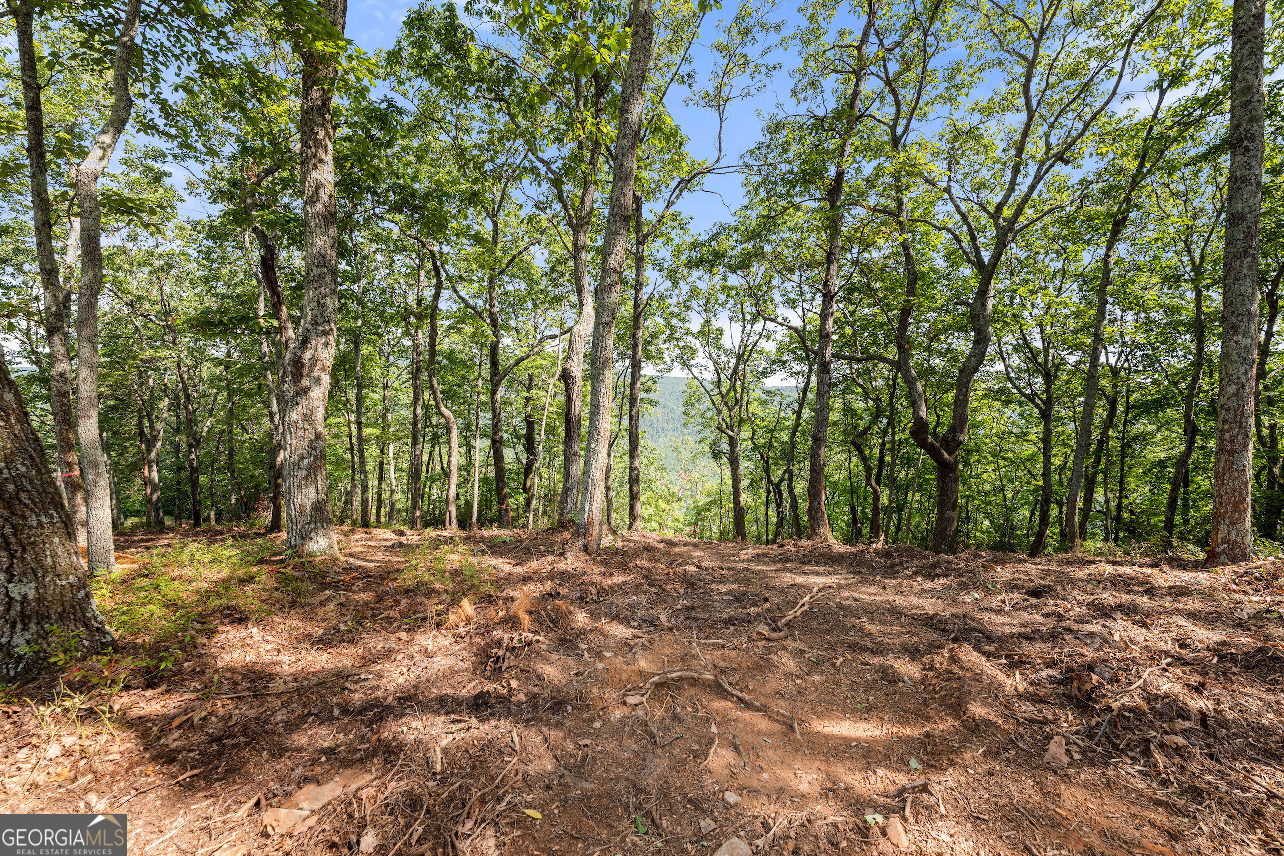 347 Highlands Drive Property Photo 6