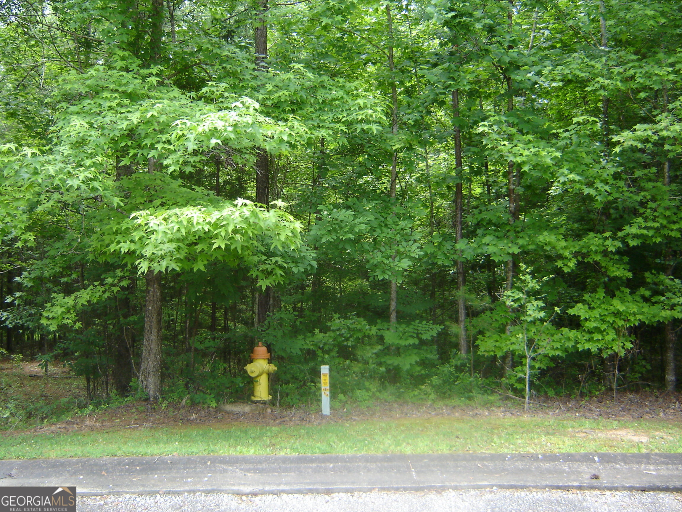 Lots 17 Property Photo 8