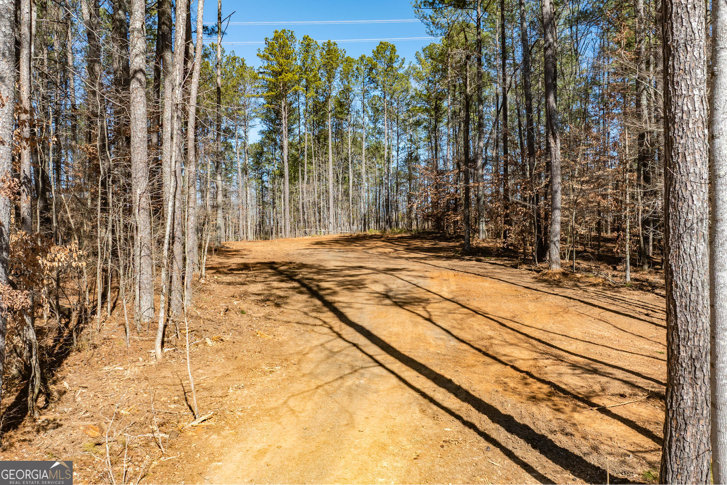 0 Burnt Hickory Road Property Photo 3