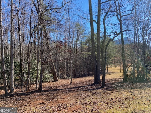 0 Whippoorwill Lane Property Photo 2