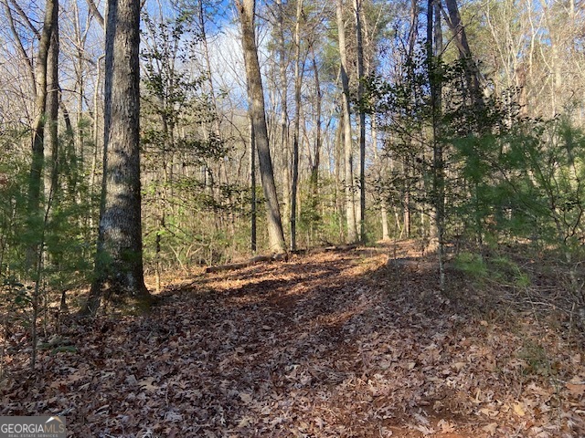 0 Whippoorwill Lane Property Photo 4