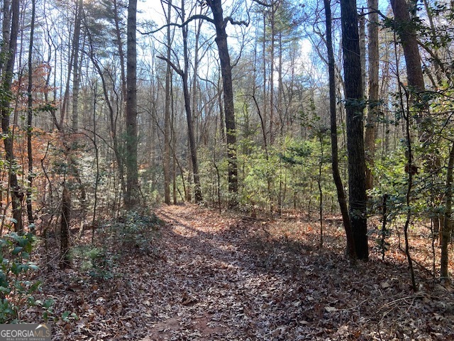 0 Whippoorwill Lane Property Photo 5