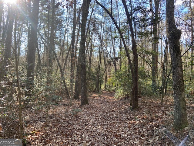 0 Whippoorwill Lane Property Photo 7