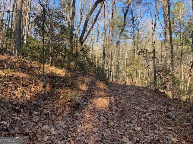0 Whippoorwill Lane Property Photo 8