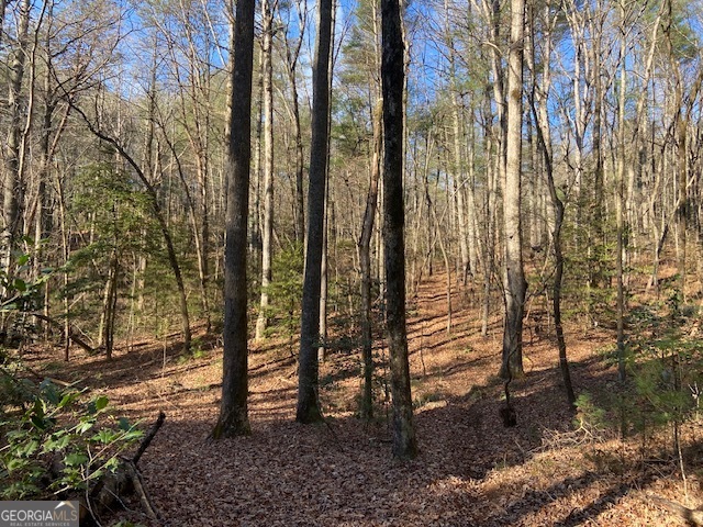 0 Whippoorwill Lane Property Photo 9