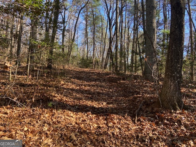 0 Whippoorwill Lane Property Photo 10