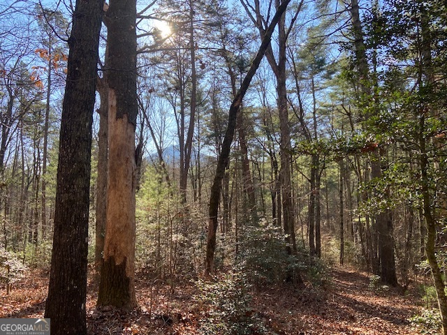 0 Whippoorwill Lane Property Photo 11