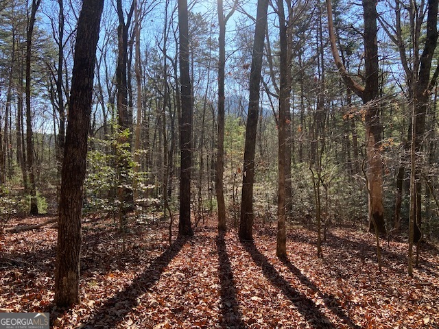 0 Whippoorwill Lane Property Photo 12