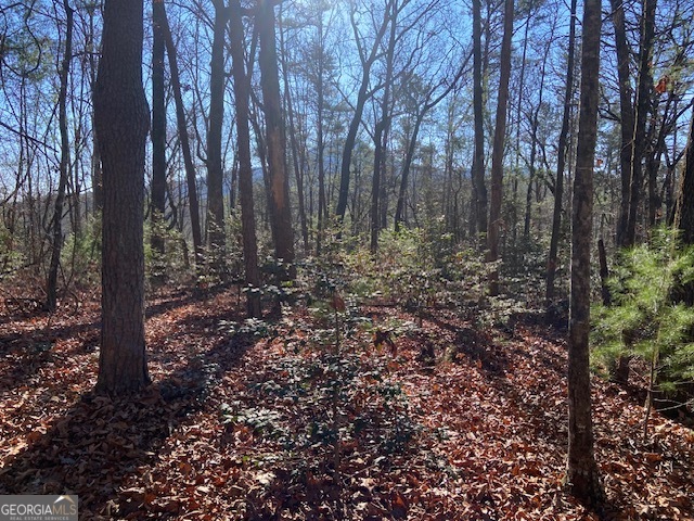 0 Whippoorwill Lane Property Photo 13