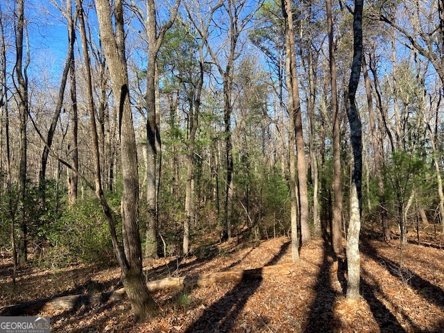 0 Whippoorwill Lane Property Photo 14