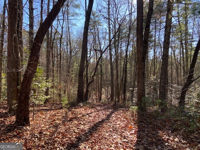 0 Whippoorwill Lane Property Photo 15